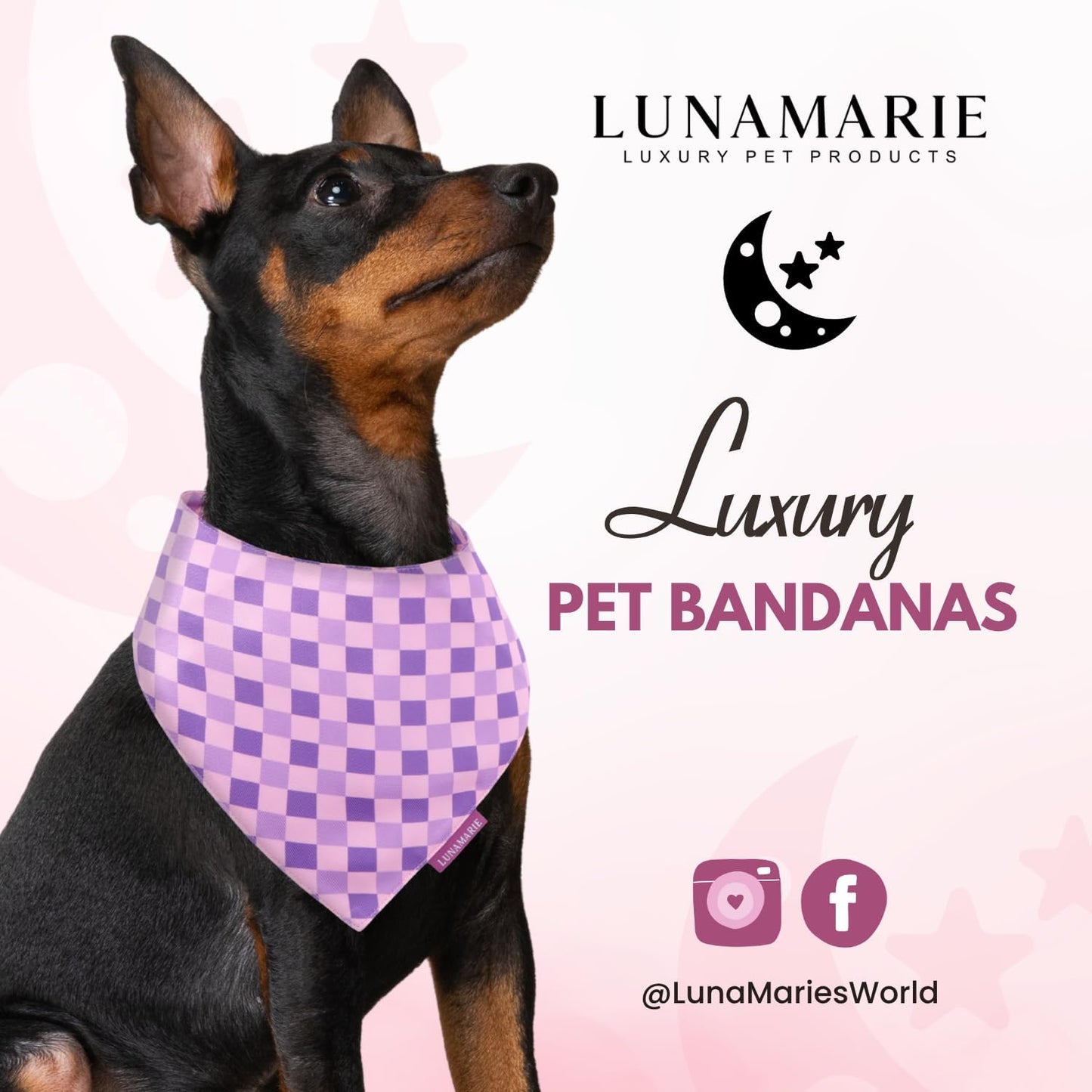 LunaMarie - Luxury Pet Birthday Bandanas -Premium & Silky Poly Fabric | 100% Handmade | Custom Shape Dual Layered (Violeta Rebel, Medium)