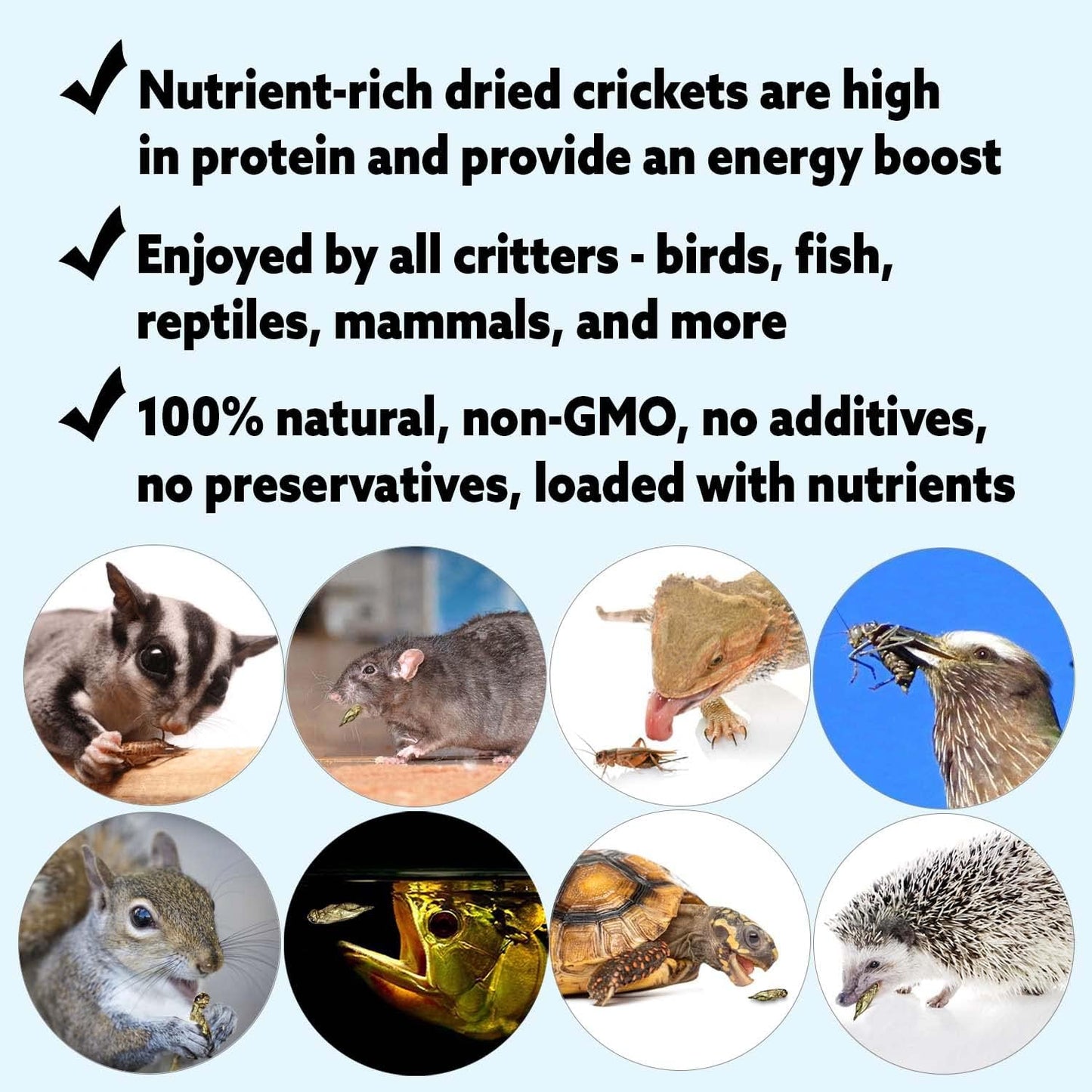 2 Pound Dried Crickets - High Protein Insect Treat - Chickens, Wild Birds, Hedgehogs, Bluebirds, Reptiles, Sugar Gliders, Opossums, Skunks, Lizards, Bearded Dragons, Fish, Turtles 8 oz. (4 Pack)