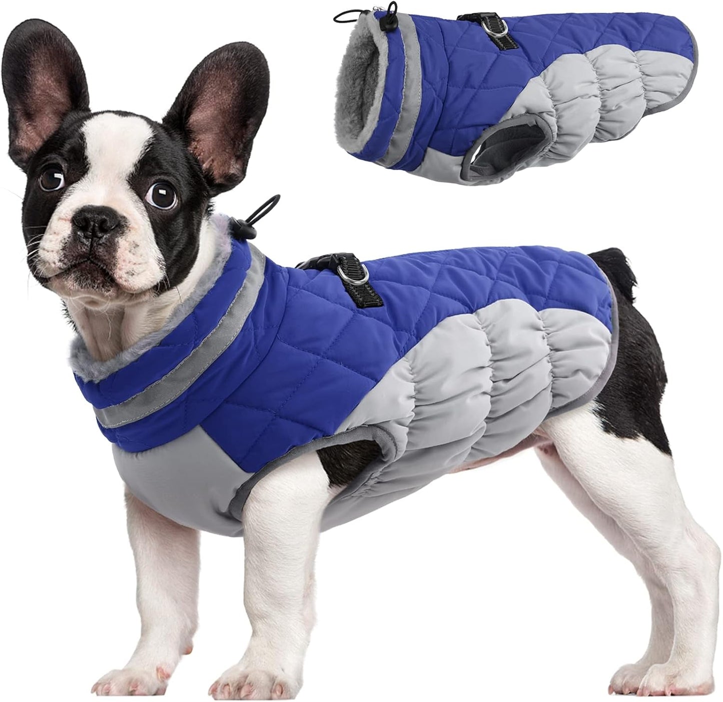 FUAMEY Dog Coat for Small Dogs,Waterproof Dog Winter Jacket with Harness Built in Puppy Cold Weather Coats Reflective Pet Vest with Zipper Warm Fleece Dogs Snowsuit Windproof Blue S