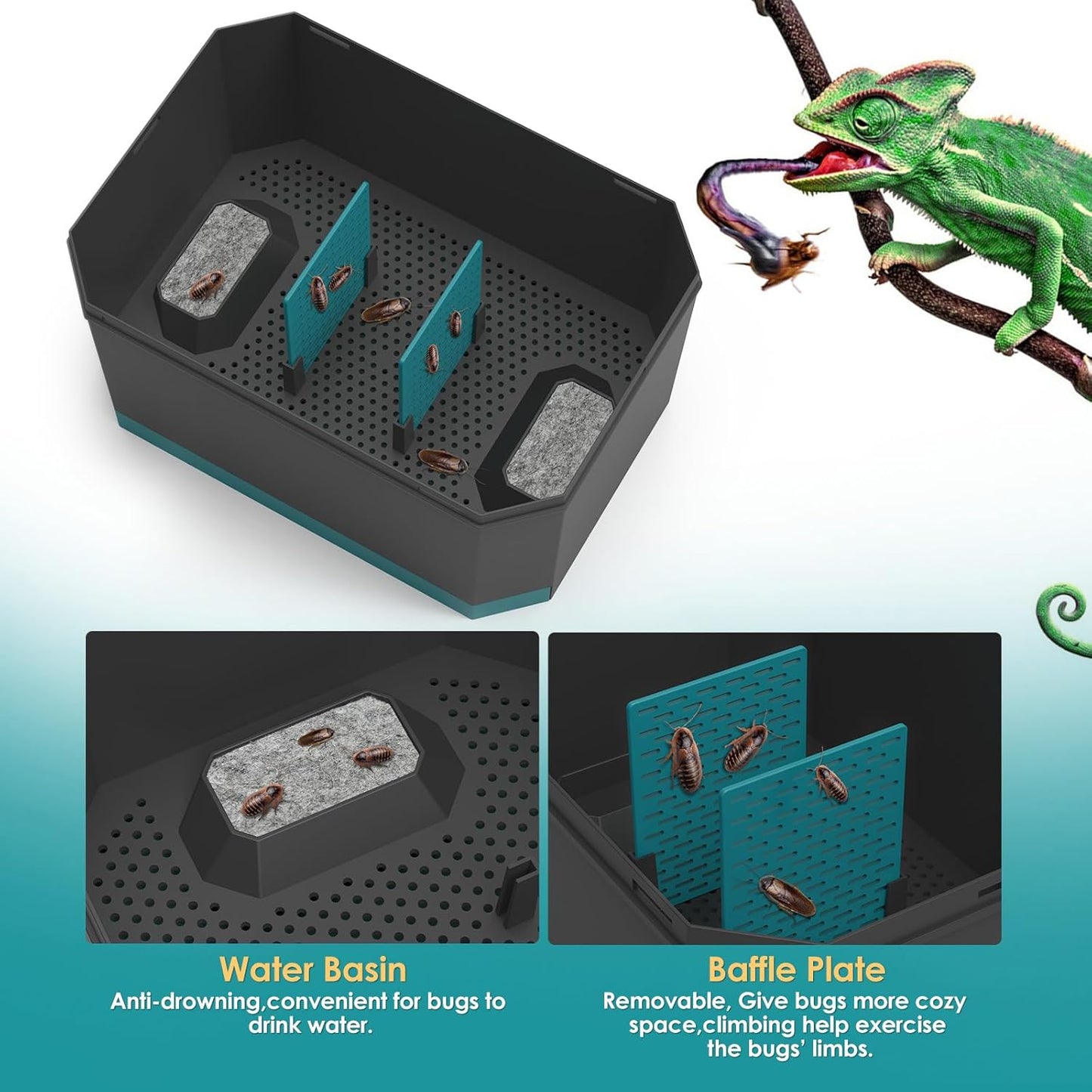 Multi Purpose Insect Habitat for Crickets, Dubia Cockroaches, breadworms, and Silkworms, with Ventilation and Breathability