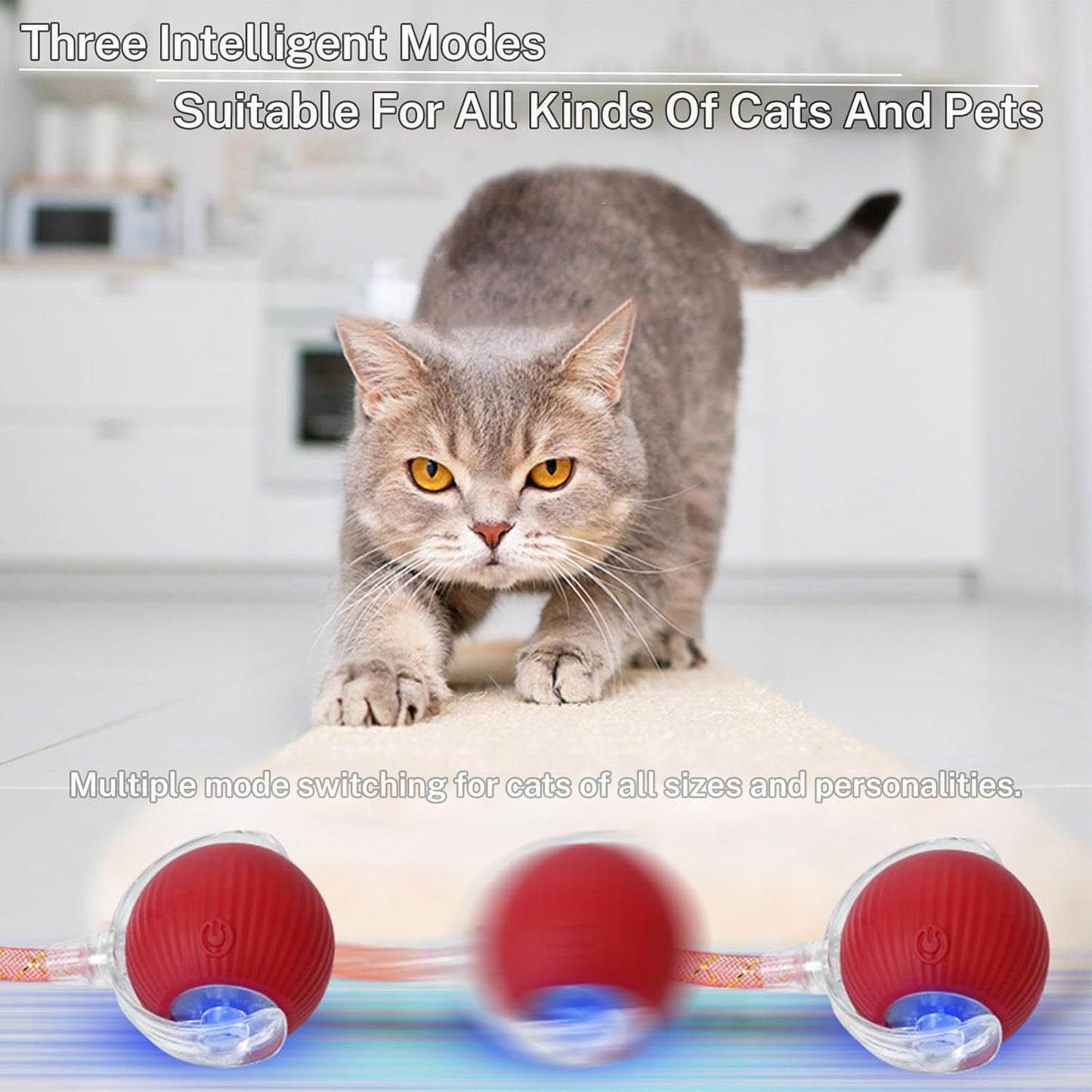 New Upgraded Cat Ball Toy - Speedy Tail 2.0 Cat Toy, Interactive Cat Toy Ball, Stimulating Toys and Juguetes para Gatos, Cat Toys for Bored Indoor (Red)