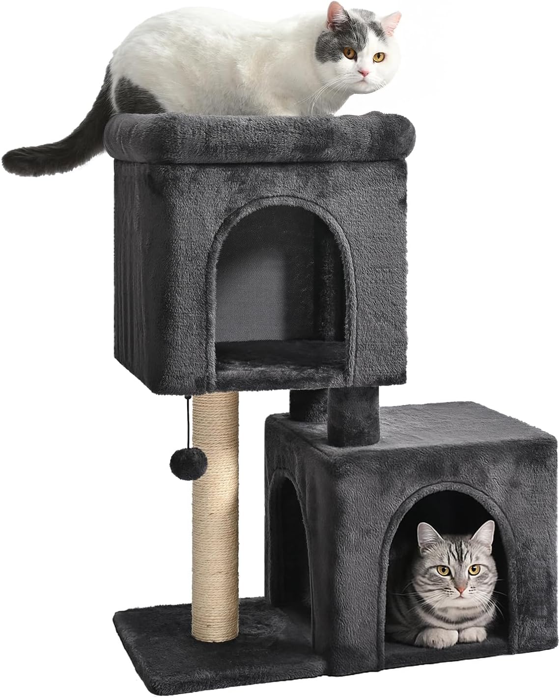 Amazon Basics 30 inch 2 Story Condo Cat Tree with Scratching Posts for Indoor Cats up to 16 lbs, Activity Center with Cozy Perch, Replaceable Hanging Pompom, Dark Gray
