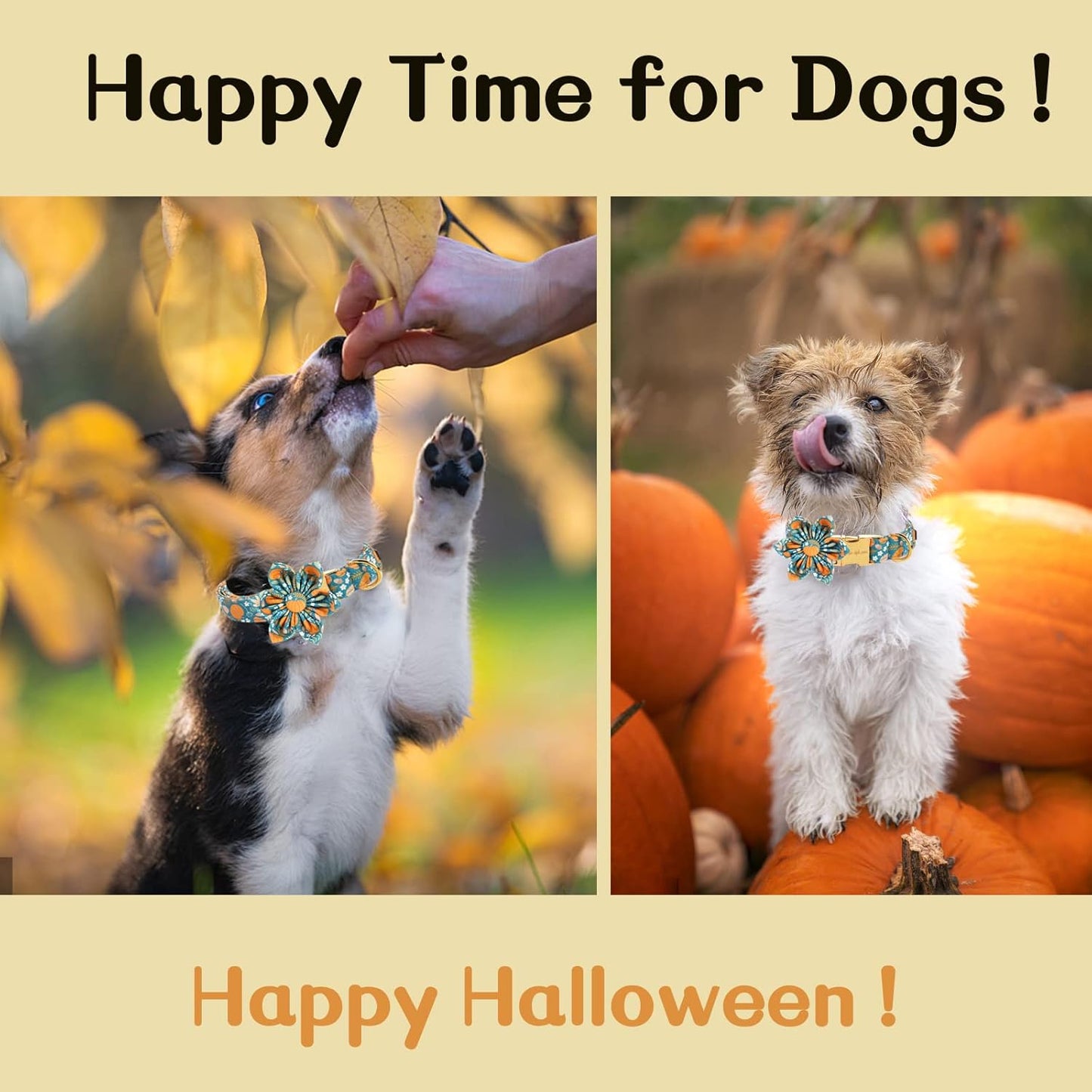 Unique style paws Halloween Dog Collar with Flower Tie Pumpkin Cotton Collar Adjustable Puppy Collar for Small Medium Large Dogs-L