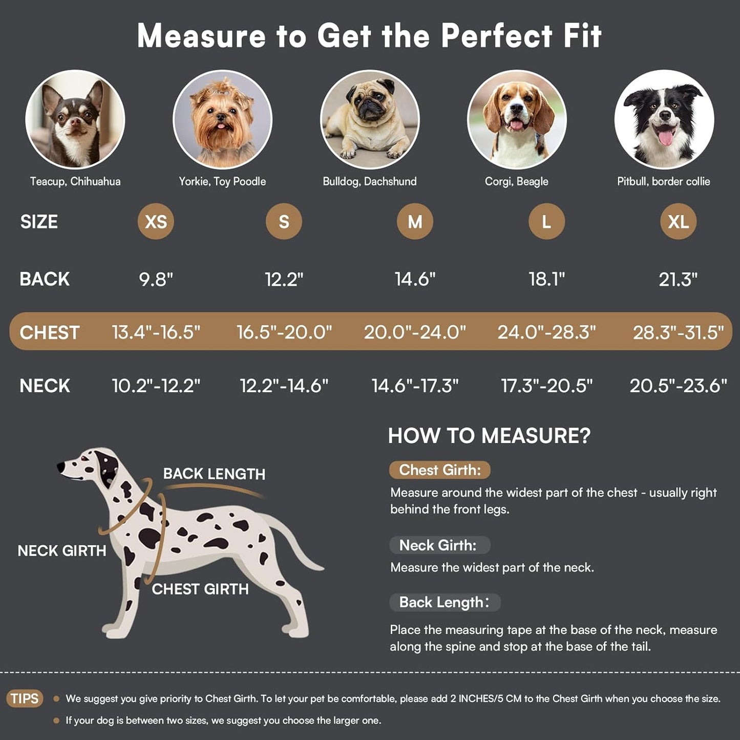 Queenmore Dog Winter Coat Warm Puffer Jacket Waterproof Plush Lining Thermal Cold Weather Vest for Small Medium Large Dogs, Windproof Easy On Pet Jacket Black S