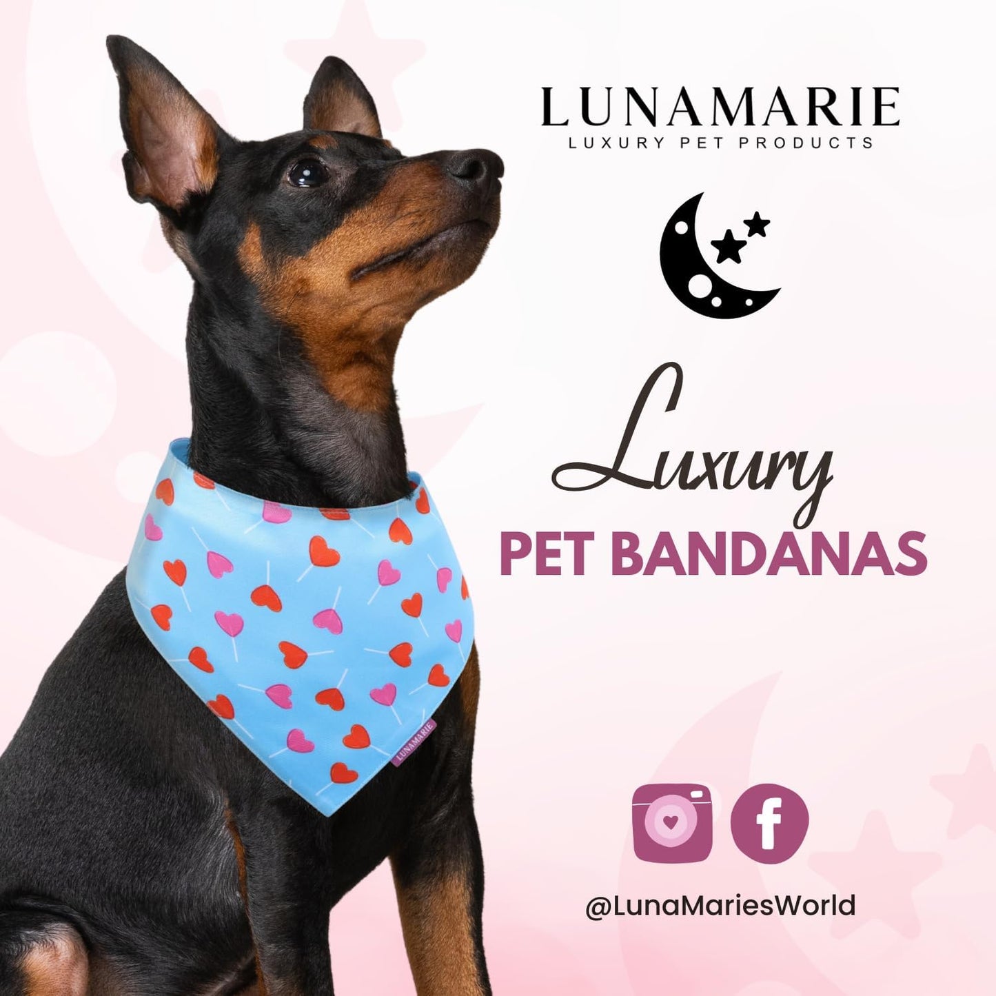LunaMarie - Luxury Pet Birthday Bandanas -Premium & Silky Poly Fabric | 100% Handmade | Custom Shape Dual Layered (LoviePop, X-Small)