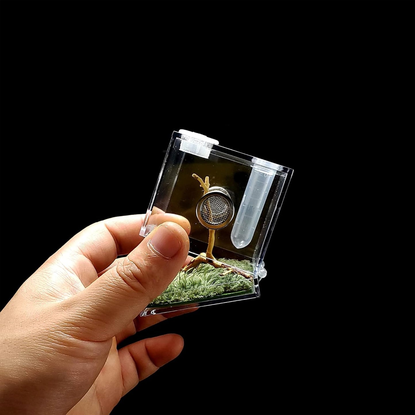 crapelles Jumping Spider Micro Middle Habitat, Small Pet Insect Breeding Box, 360 Degree Transparent Reptile Cage, Acrylic Case Mini Carrier for Amphibians, Feeding Container Enclosure Accessories