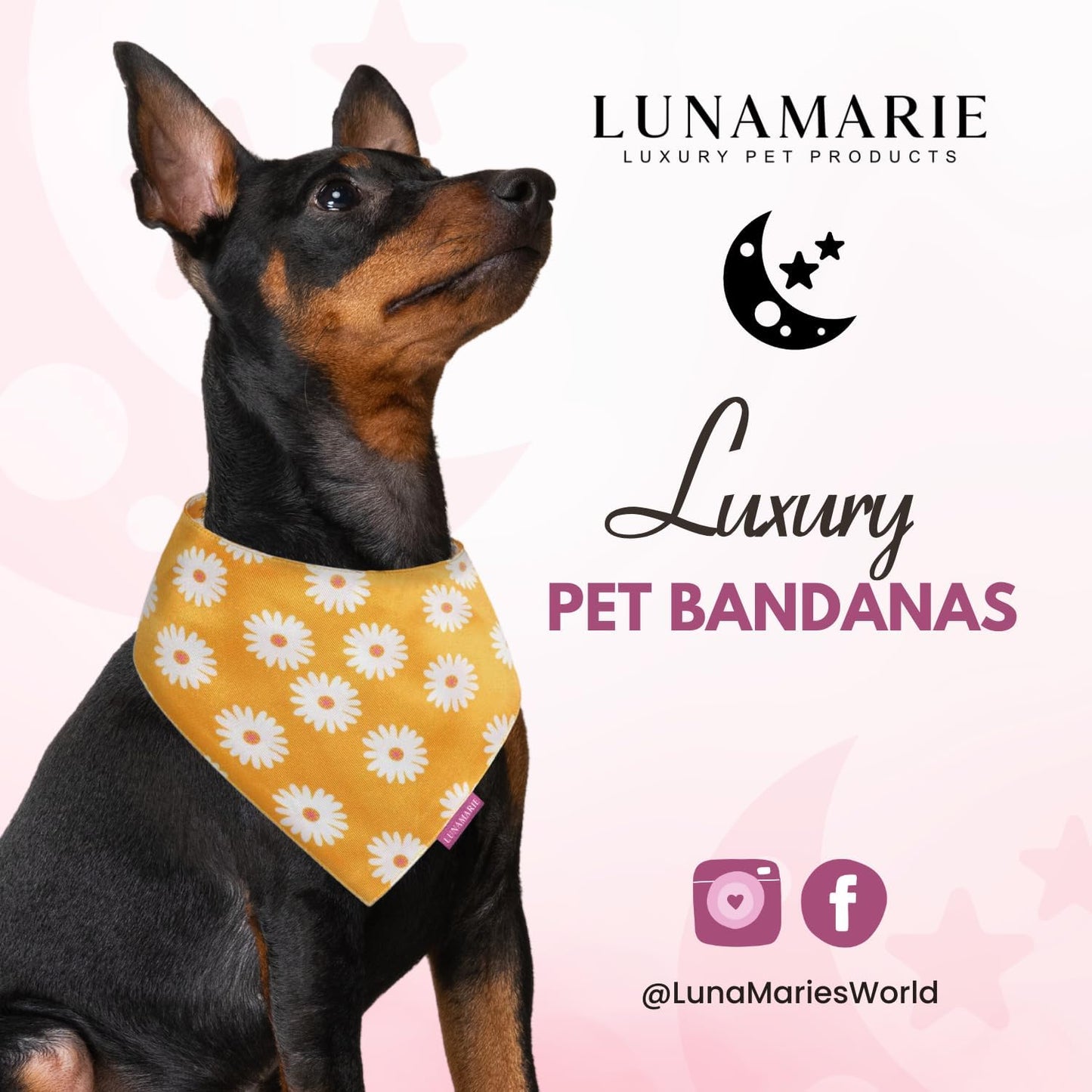 LunaMarie - Luxury Pet Birthday Bandanas -Premium & Silky Poly Fabric | 100% Handmade | Custom Shape Dual Layered (Daisies, Small)