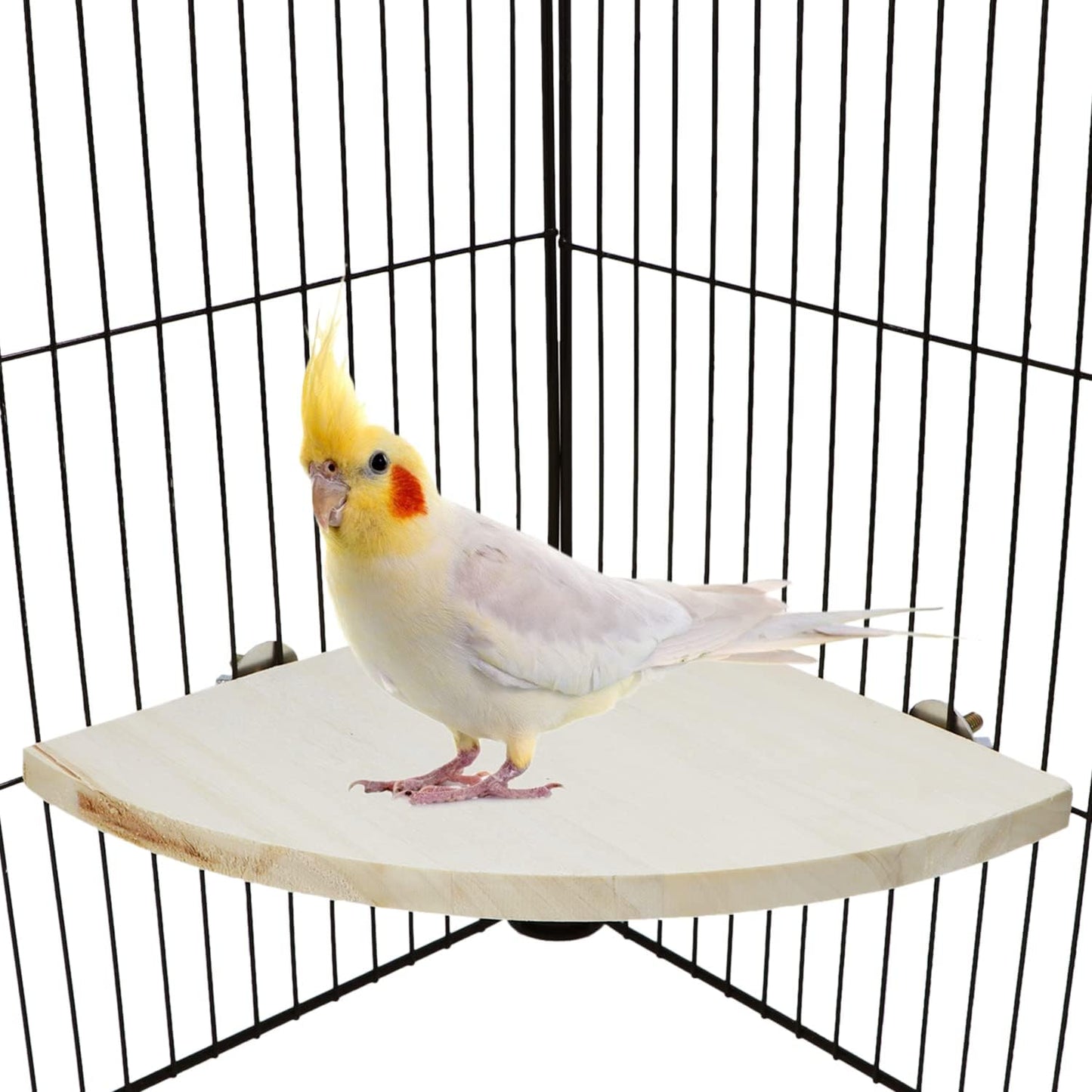 Wontee Bird Perch Stand 2 Pack Wooden Platform Corner Ledge for Budgies Cockatiels Conures African Greys Rats Gerbils Chinchillas Squirrels (L (7.9"x7.9")