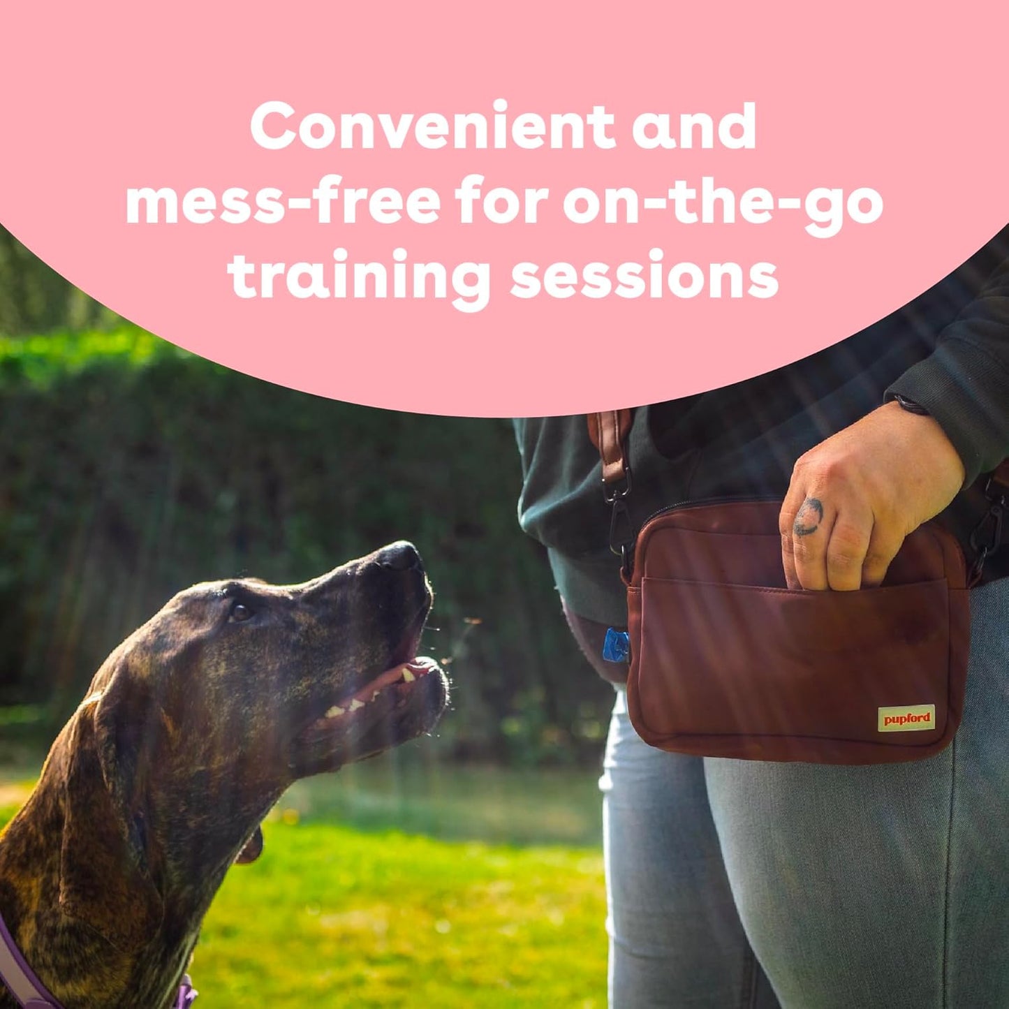 Pupford Freeze Dried Training Treats for Dogs & Puppies, 1400+ Two Ingredient Bites (Salmon, 4 oz, 3 Pack)