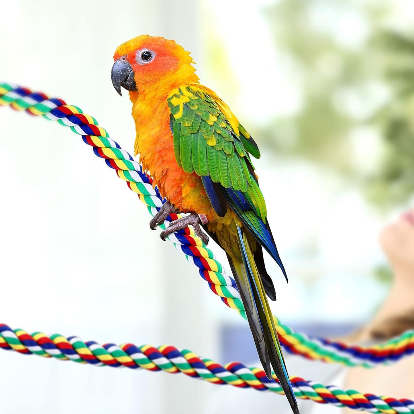 Weewooday 2 Pcs Bird Rope Perches Climbing Rope Bird Cage Accessories for Parrots, Parakeets, Cockatiels, Conures