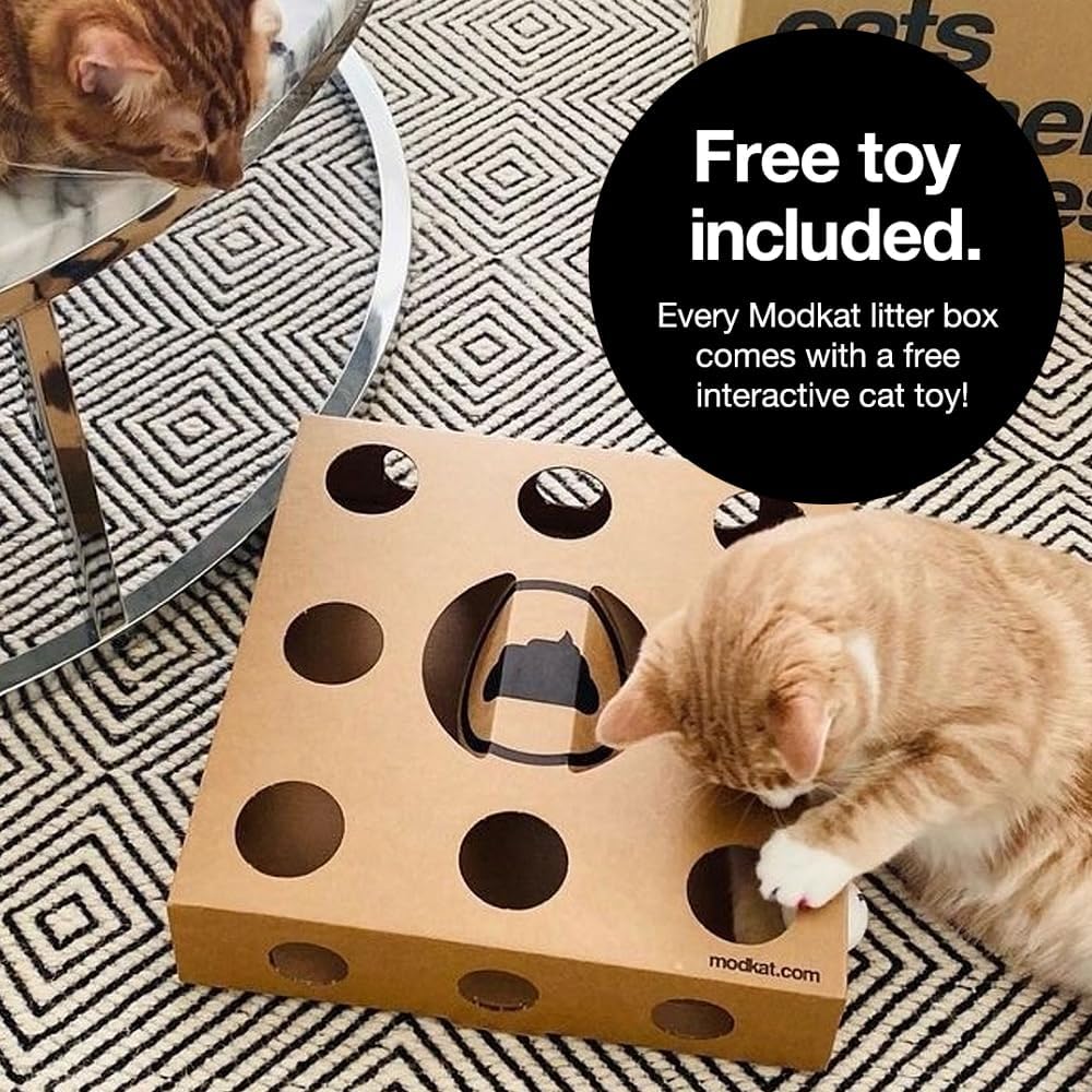 Modkat® XL Litter Box, Top or Front-Entry Configurable, Full Height Seamless Base, Reusable Litter Liners, Sifting Litter Scoop, 2X Bamboo Charcoal Filters - Gray