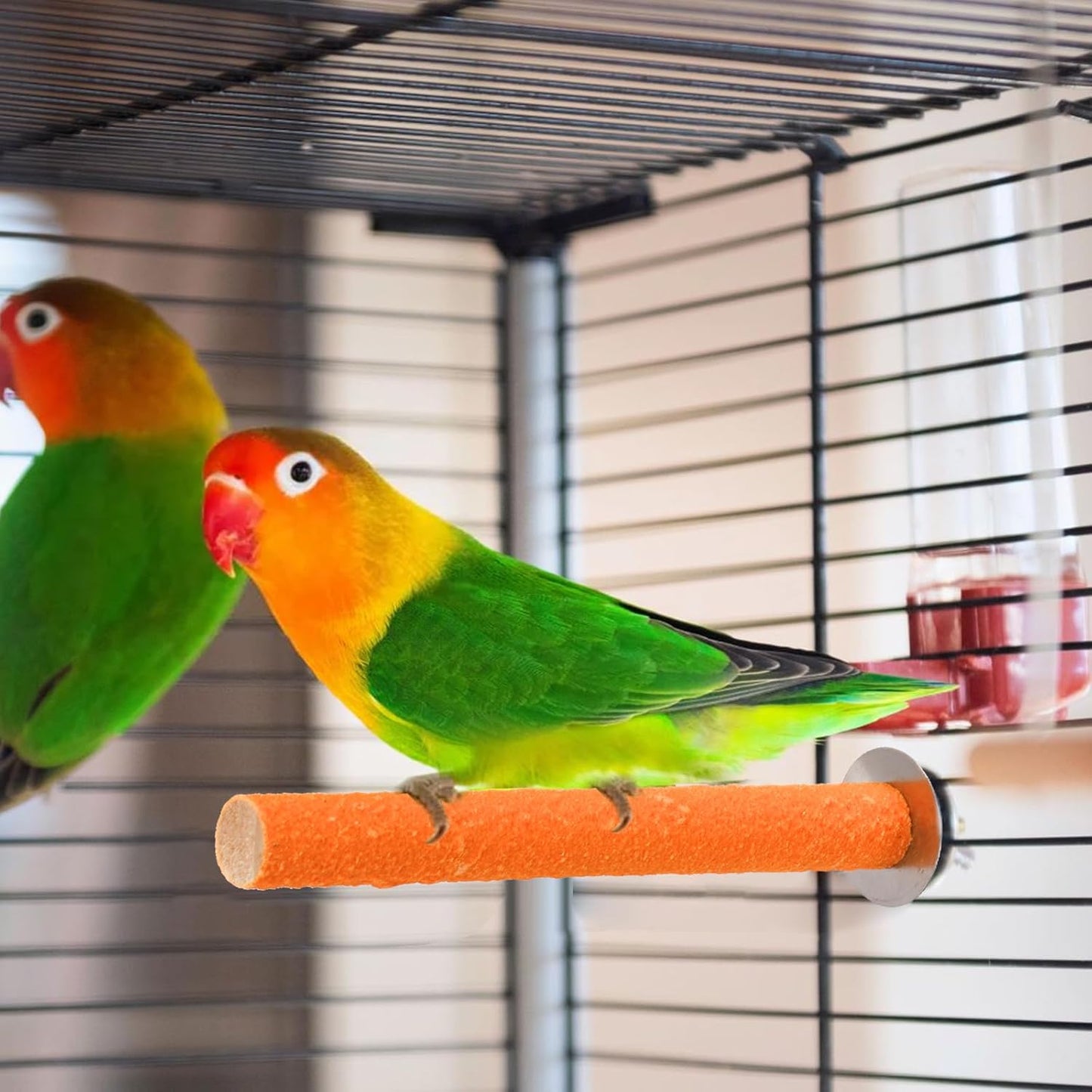 8 Pcs Bird Perch Stand Toy, Colorful Wood Parrot Perch Stand Platform Paw Grinding Stick, Bird Cage Accessories for Budgies,Parakeet,Cockatiel, Lorikeet, Conure