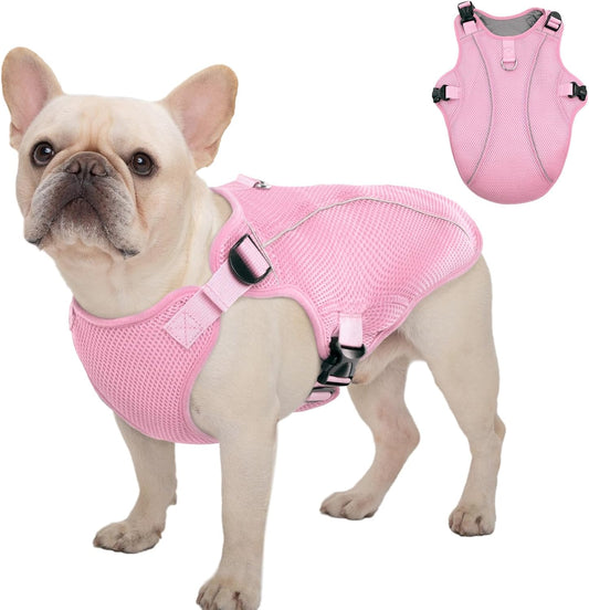 Kuoser Dog Cooling Vest, Pet Cooler Coat, Breathable Doggie Cool Jackets for Medium Dogs, Reflective Cooling Harness, Puppy Summer Essentials Pink M