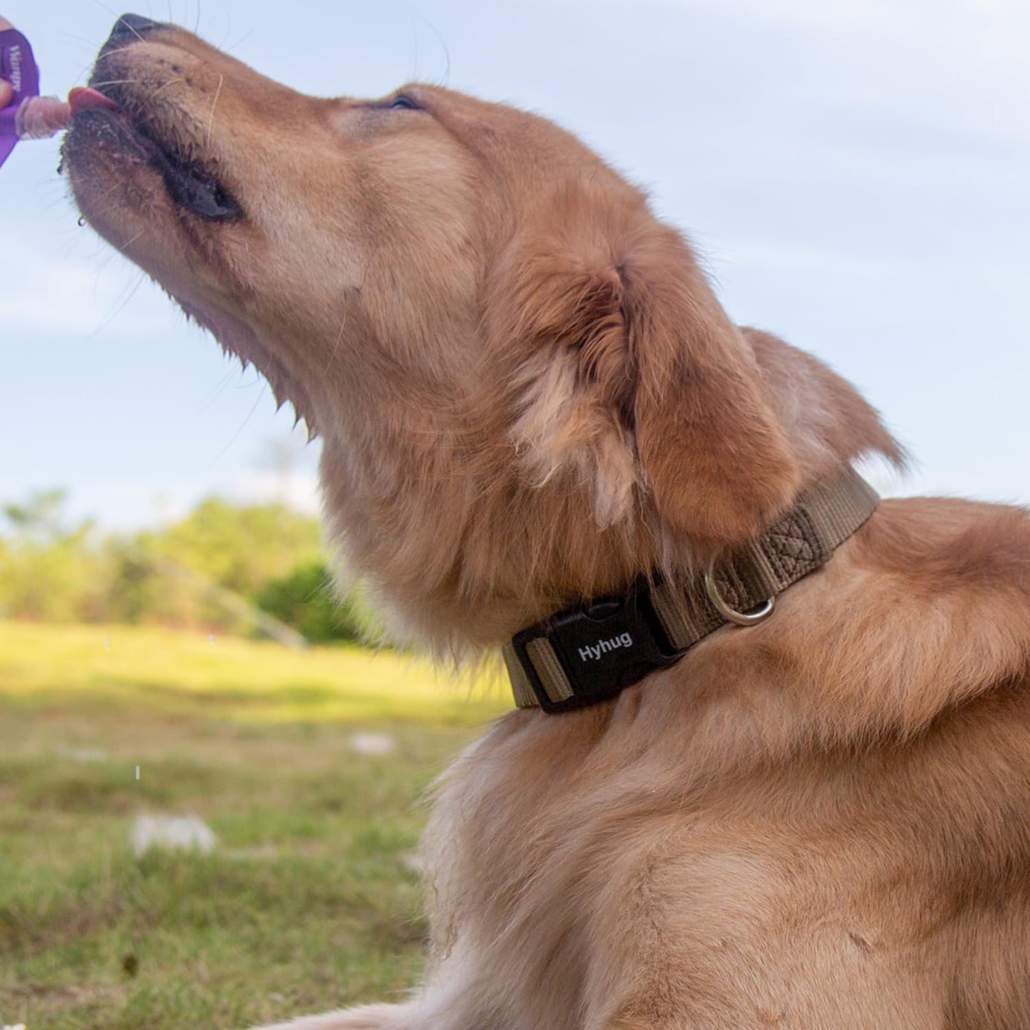 Hyhug Puppy Collar with Quick Release Buckle, Nylon Adjustable Durable Cute Dog Collar for Small Dogs, Male and Female(Small, Military Green)