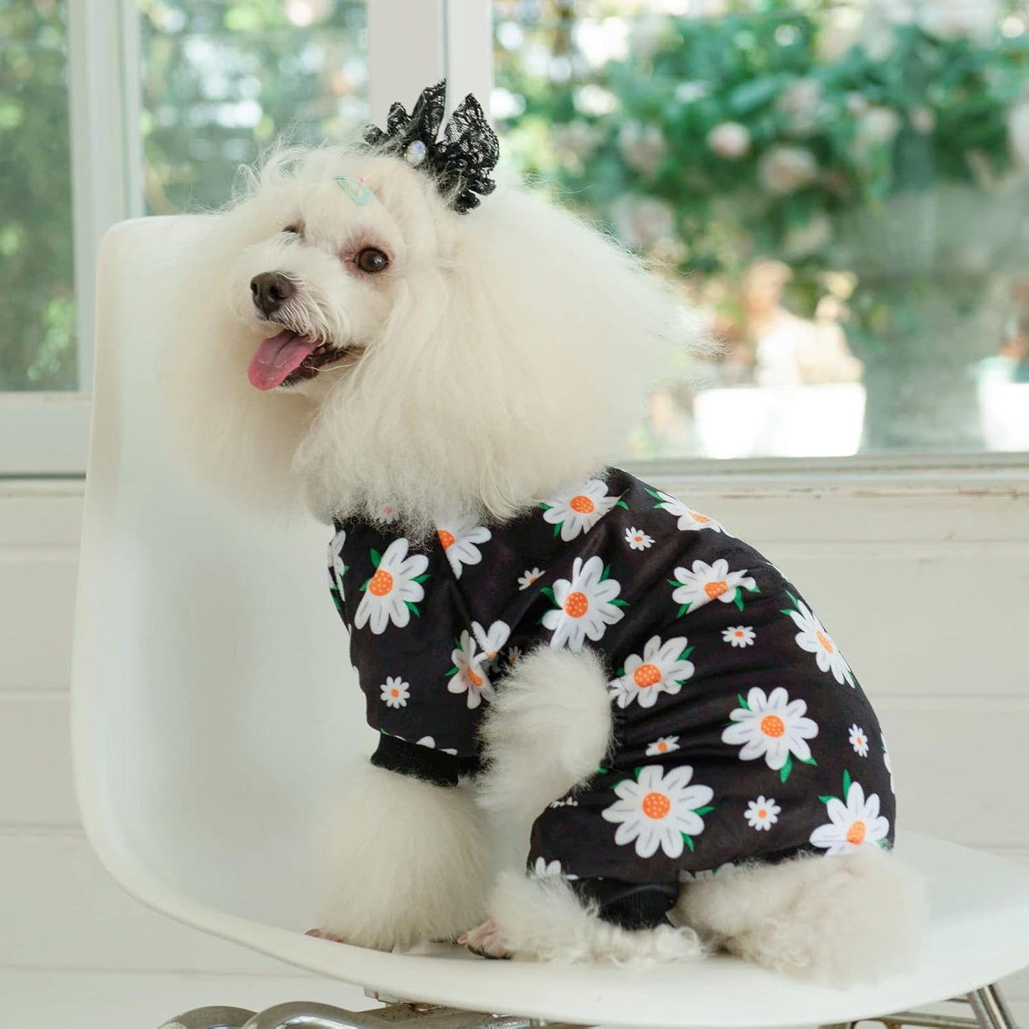 CuteBone Small Dogs Outfit Soft Puppy Onesies Pjs Dog Pajamas Pet Coat Cat Apparel Comfy Doggie Jumpsuit Bodysuit for All Seasons P221XS