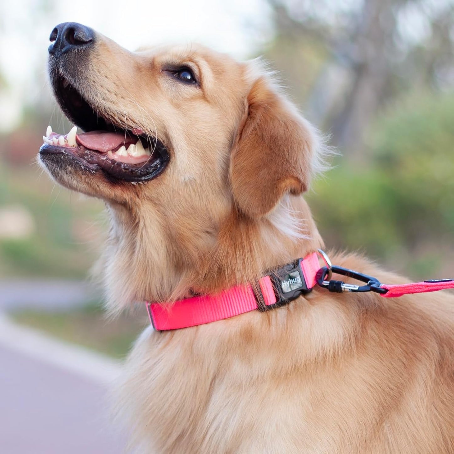 Hyhug Dog Collar with Quick Release Buckle, Nylon Adjustable Sturdy Cute Dog Collars for Large Dogs (Candy Pink, Large)