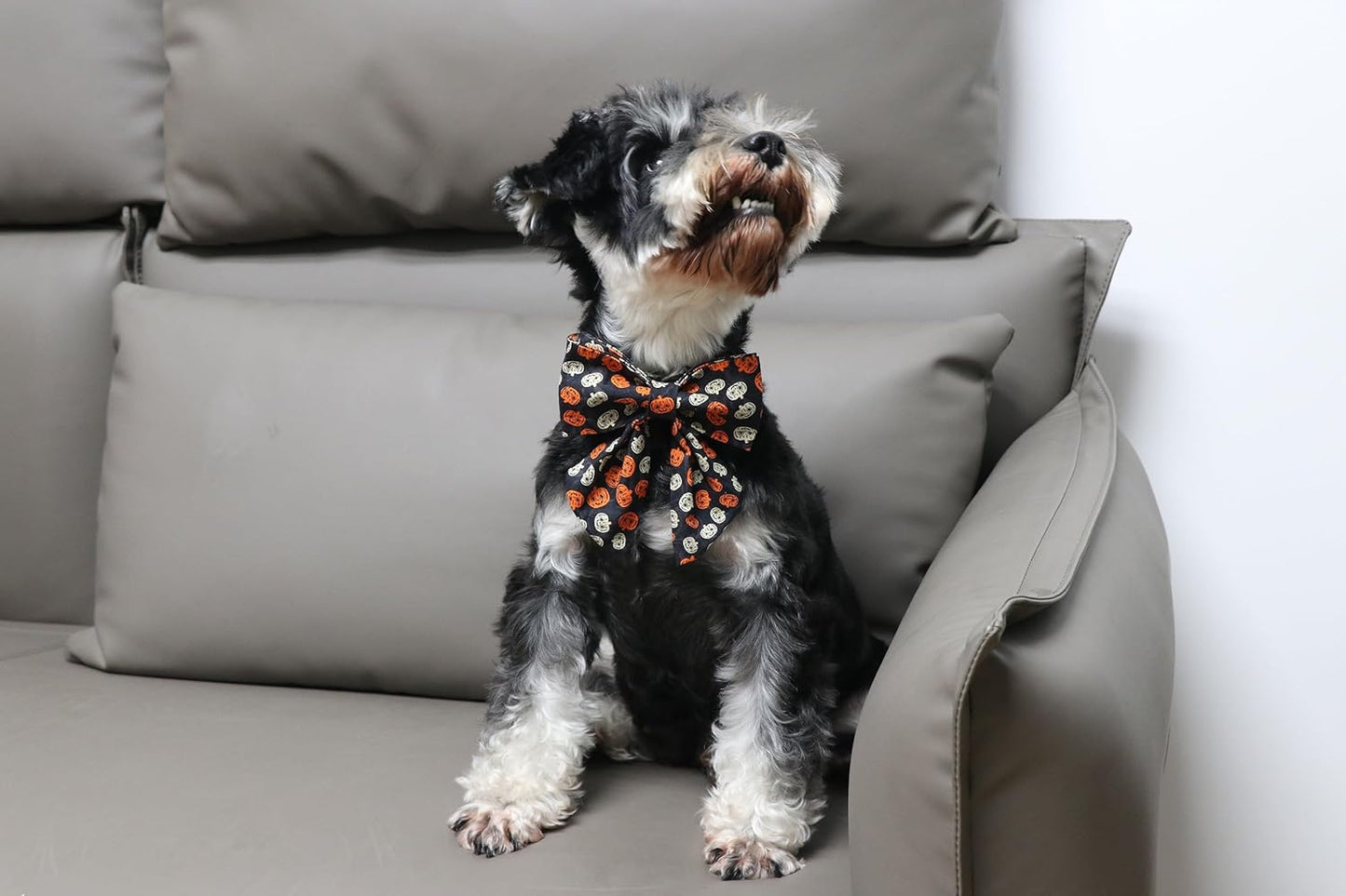 Lionet Paws Halloween Dog Collar with Bowtie - Cute Cotton Adjustable Black Bowtie Dog Collar with Metal Buckle for Small Medium Large Dog Girl Boy Gift, XXS, Neck 7-11in