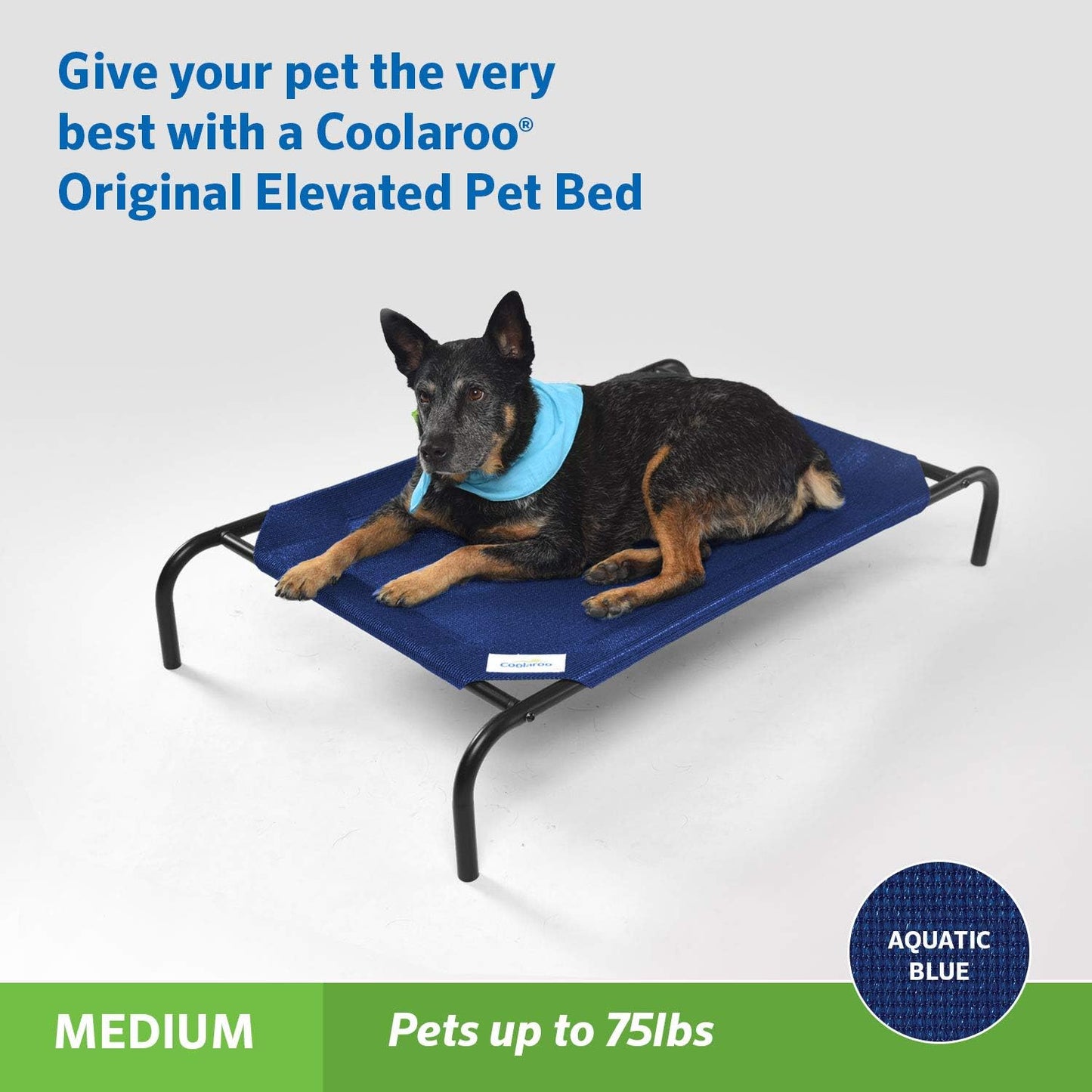 Coolaroo Original Elevated Dog Bed - Breathable Off-The-Ground Pet Bed with Cooling Fabric, Joint Relief & Moisture-Resistant Fabric, 100% Recyclable, Easy Clean, Aquatic Blue, Medium