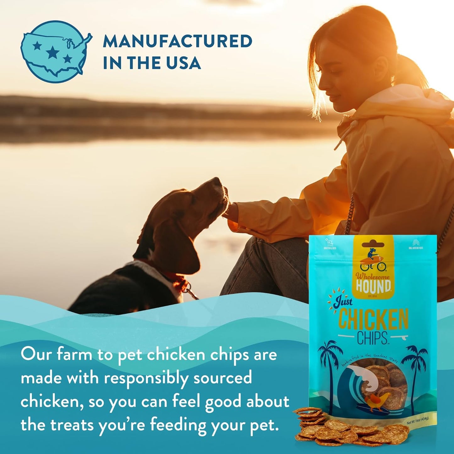 Chicken Chips – Single Ingredient Dog Treats, All Natural & Healthy Training Snacks for Small, Medium & Large Breeds, Puppies – High Protein, Made in USA 16oz