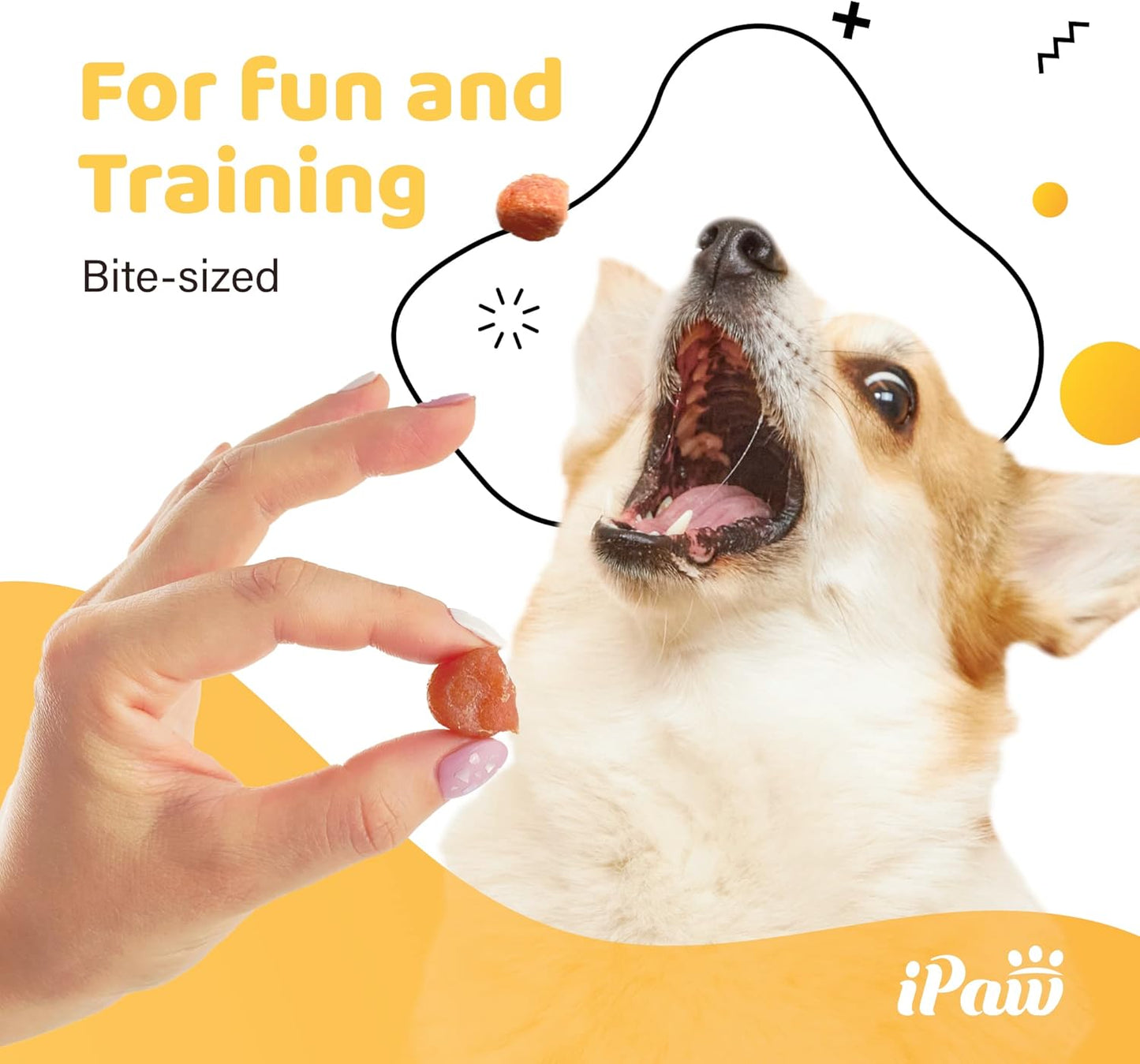 iPaw Chicken Tots Dog Treats for Puppy Training, All Natural Human Grade Dog Treat, Hypoallergenic, Easy to Digest (Chicken Tots)