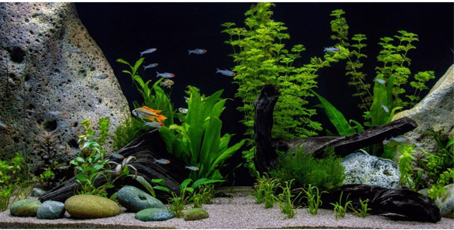 AWERT Vinyl Underwater Aquatic Plant Fish Tank Background Stone River Bed & Lake Aquarium Background 48x24 inches