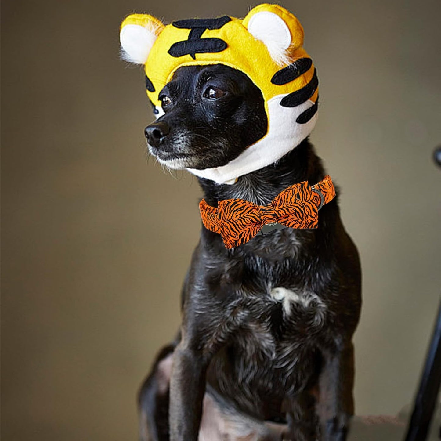 Elegant little tail Dog Collar, Tiger Print Pet Collar Fashion Boy Dog Collars Durable Metal Buckle Dog Collars Cotton Pet Adjustable Dog Collars for X-Large Dogs