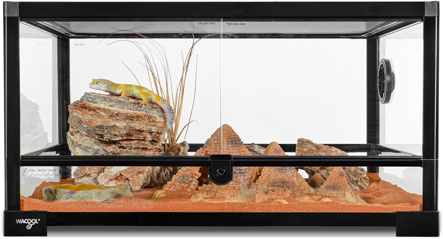 Reptile Tank 20 Gallon, 360°Full Vision Glass Reptile Terrarium 24" x 18" x 12", 24 in Wide Front Opening Reptile Tank for Desert and Tropical Reptiles Gecko Bearded Dragon Snake Hermit Crab