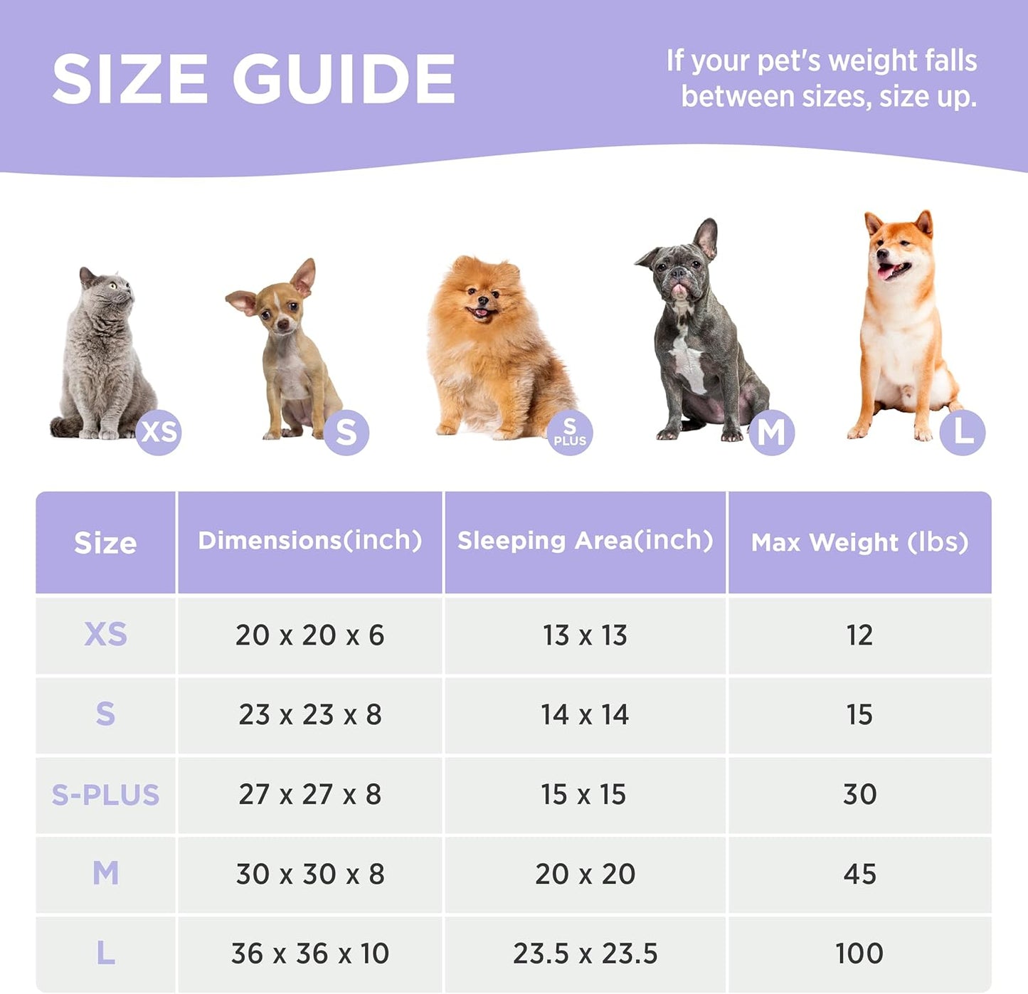 LE SURE Cat Beds for Indoor Cats - Round Cat Bed Donut Small Dog Bed Calming Pet Beds, Cute Modern Beds with Jacquard Shaggy Plush & Anti Slip Bottom, 20 Inch, Purple