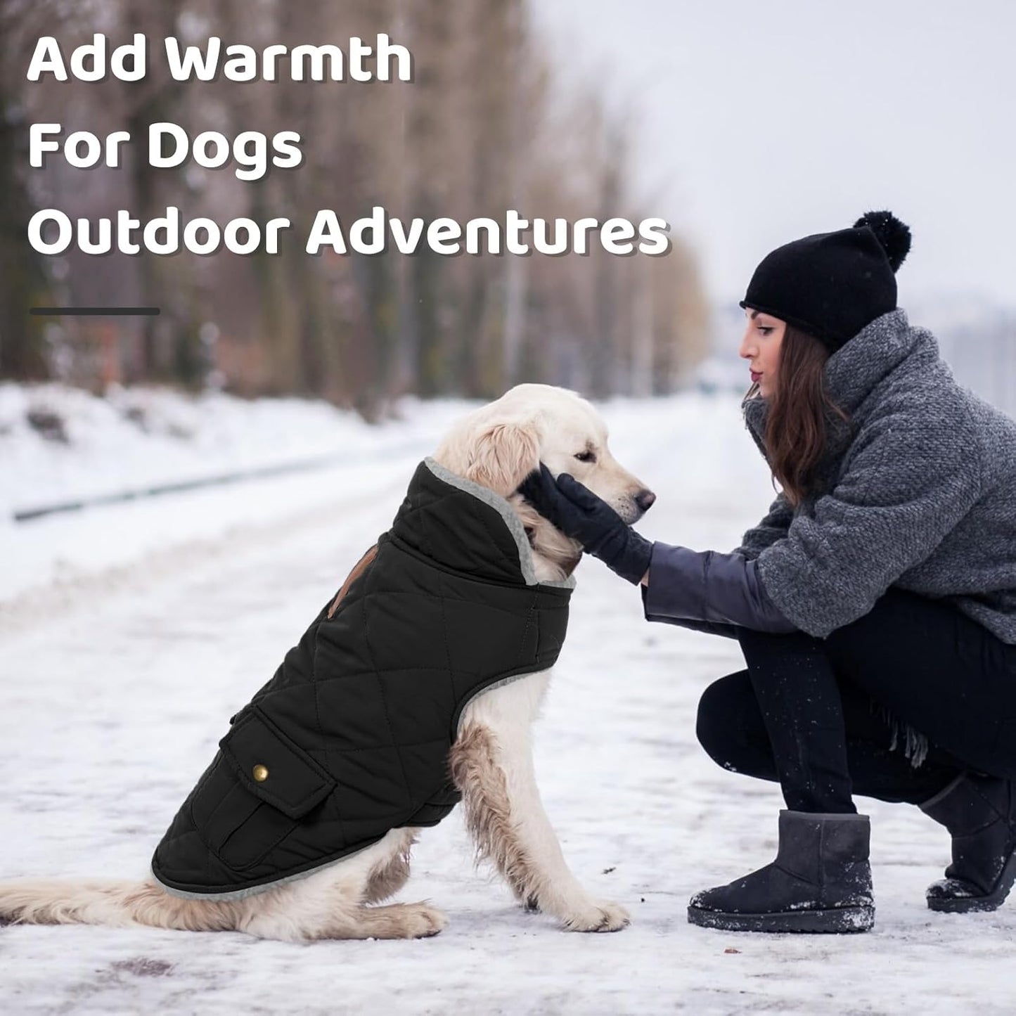 Queenmore Dog Winter Coat Warm Puffer Jacket Waterproof Plush Lining Thermal Cold Weather Vest for Small Medium Large Dogs, Windproof Easy On Pet Jacket Black M