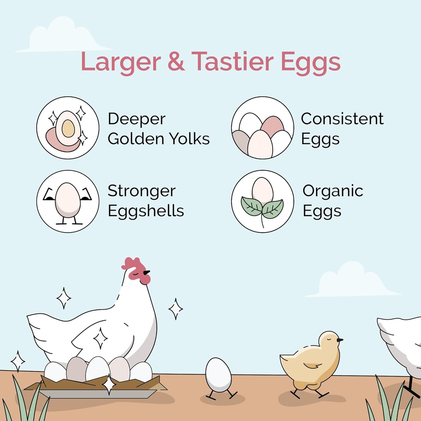 Chicken Grit for Layer & Grower Chickens Age 8-20+ Weeks - 100% Natural Mineral Chicken Grit Quartzite, Poultry Grit, USA Mined, 50 lbs