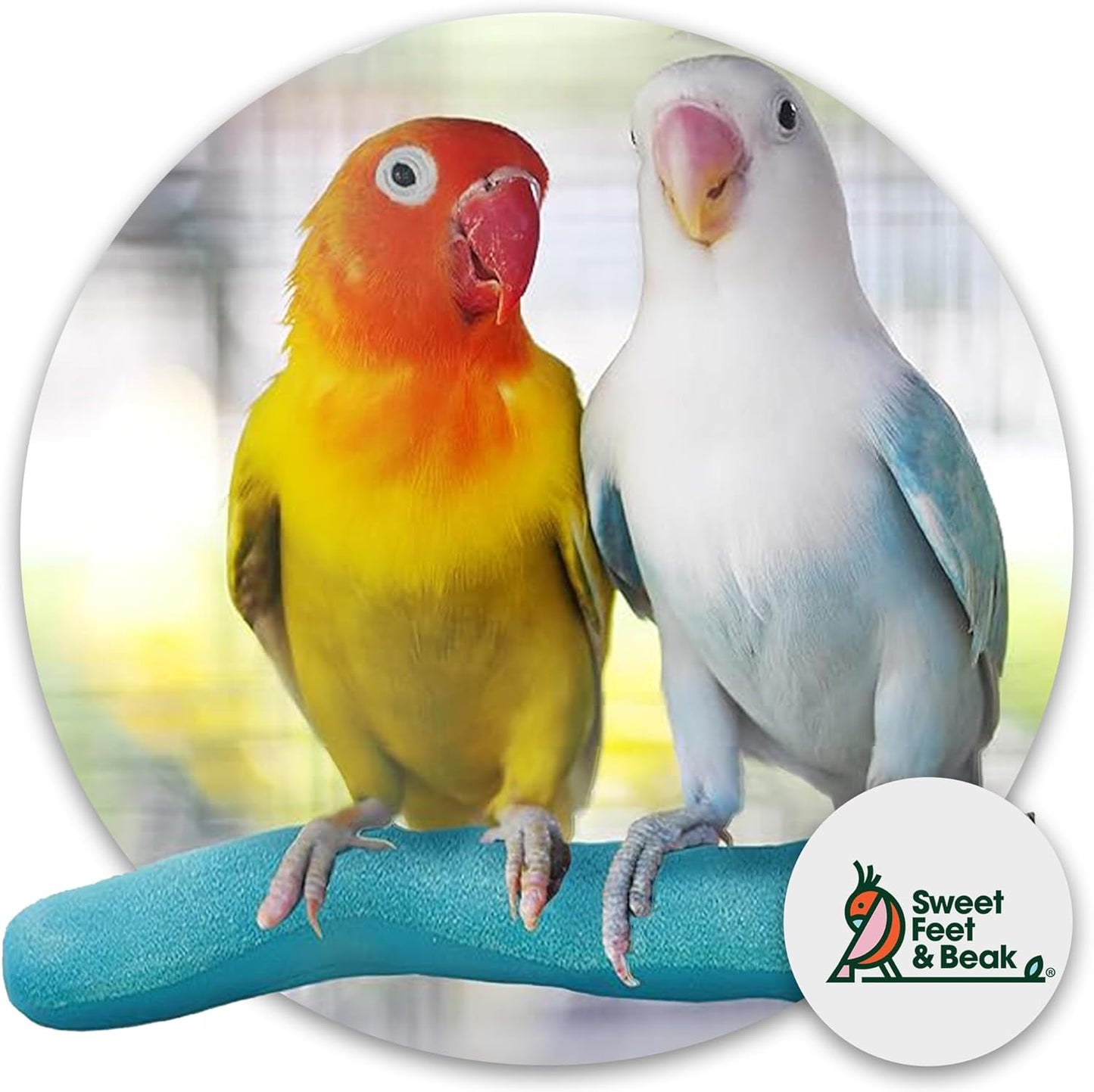 Safety Pumice Perch - Trims Nails and Beak - Promotes Healthy Feet - Safe Non-Toxic Bird Supplies for Bird Cages - Small 8"