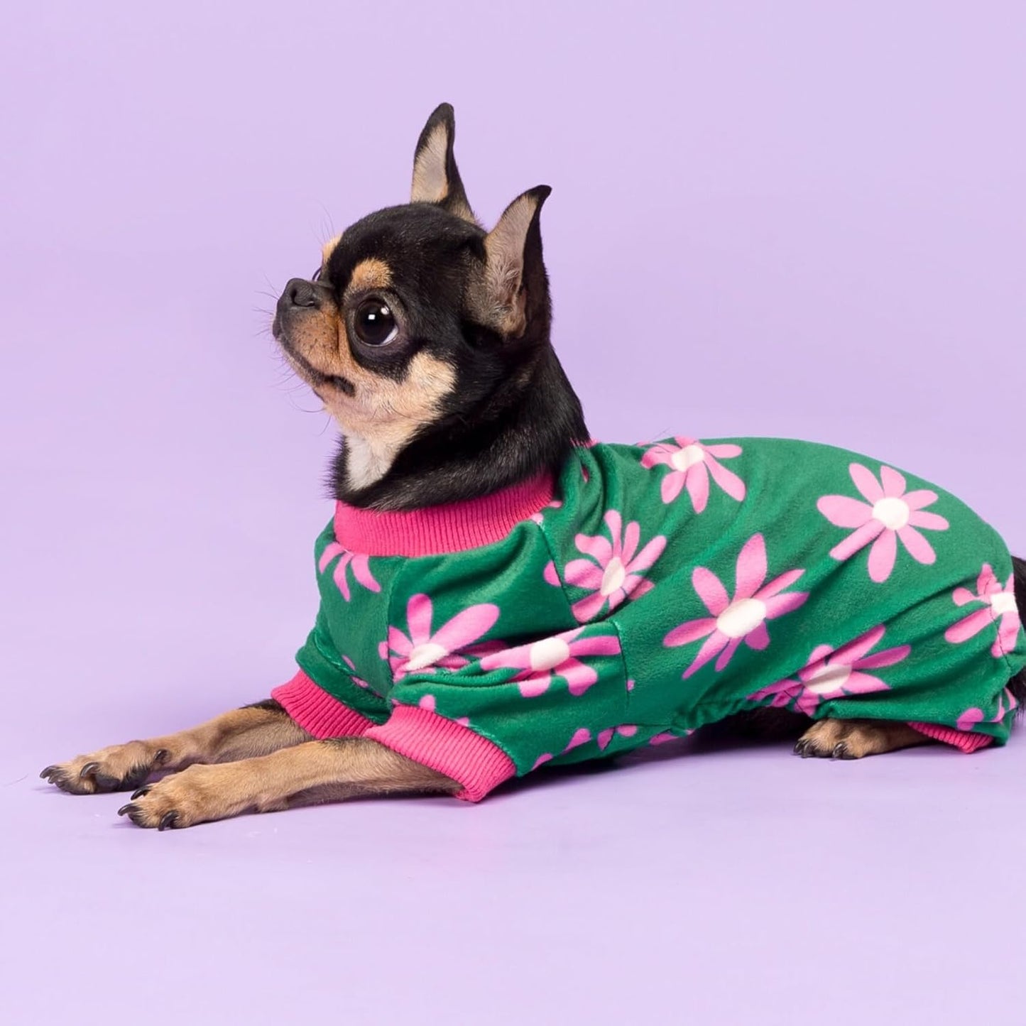 Fitwarm Flower Fleece Dog Pajamas, Warm Winter Dog Clothes for Small Dogs Girl, Cozy Pet Onesie with Feet, Dark Green, Medium