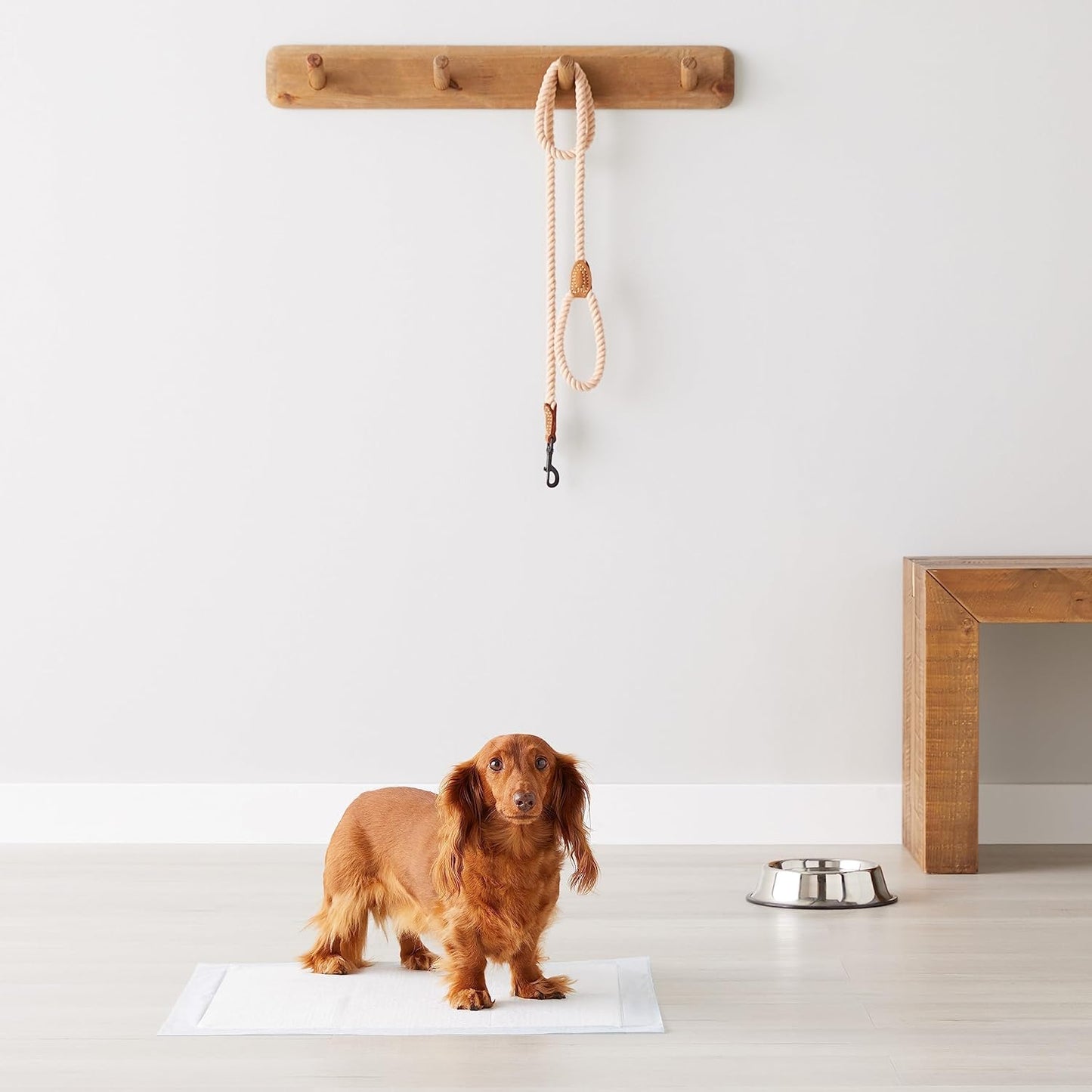 Amazon Basics Dog and Puppy Pee Pads, 5-Layer Leak-Proof Super Absorbent, Quick-Dry Surface, Potty Training, Regular (22x22"), 100 Count, Blue & White