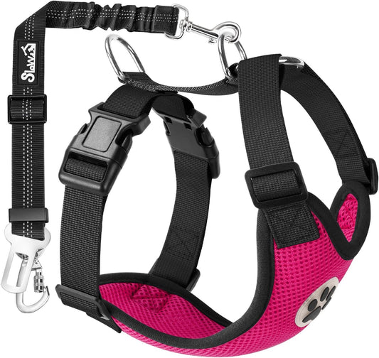 SlowTon Dog Seat Belt Harness for Car, Dog Car Harness Adjustable Mesh Breathable & Dog Seatbelt Safety Tether with Elastic Bungee for Small Medium Large Pets(Fuchsia, Double Clip, M)