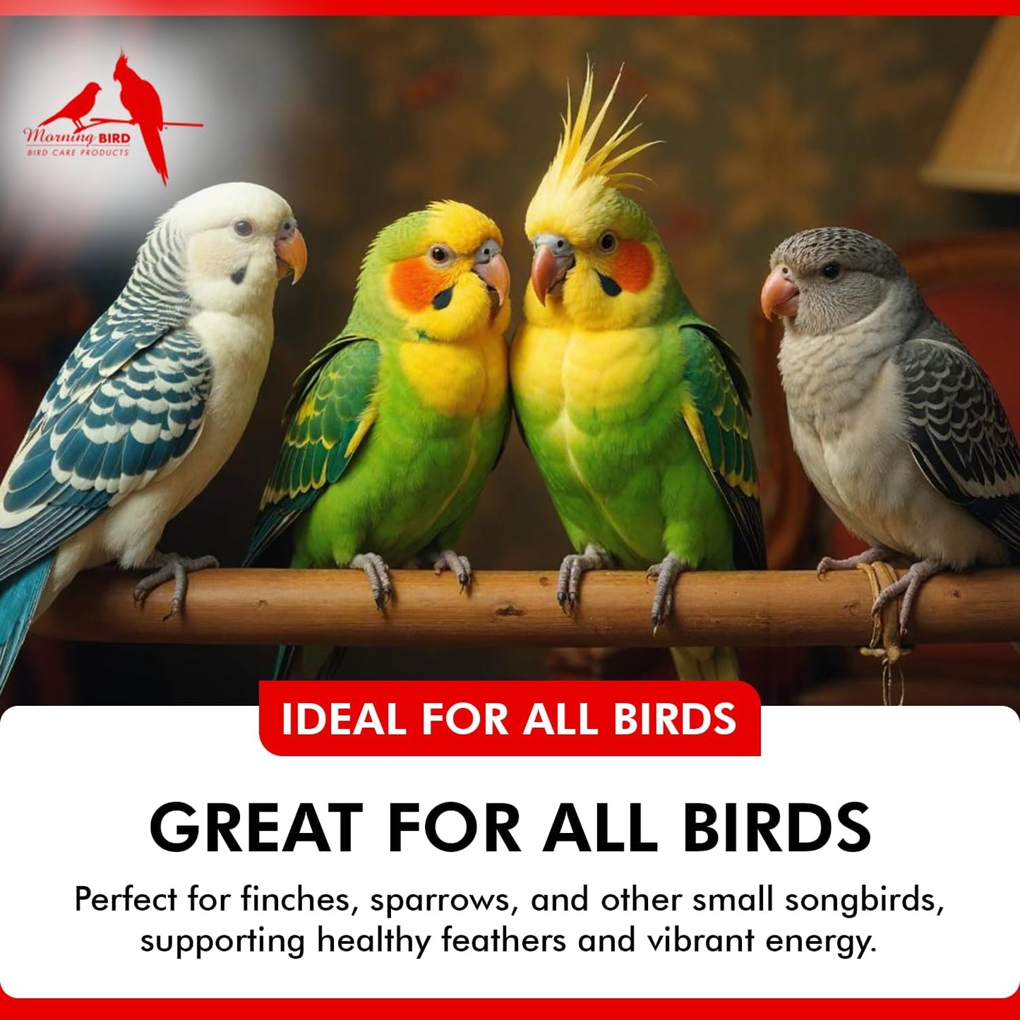 Morning Bird Calcium Plus Powder for Birds 6 oz – Calcium Carbonate Powder with Magnesium Glycinate & Vitamin D – Bone Strength & Immune Support Supplement – Calcium Formula for All Bird Sizes