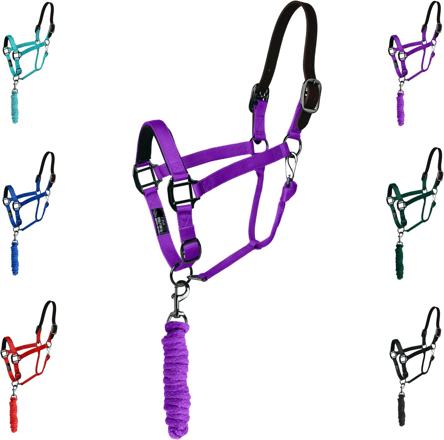 Majestic Ally Leather Halter with Matching Lead Rope for Horses – Leather Breakaway Crown - Adjustable Chin Strap – Rolled Throat Latch – Padded Noseband – Full (Purple, Full)