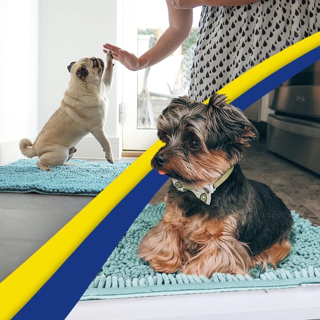 Muddy Mat® Original Dog Door Mat for Muddy Paws, Super Absorbent Microfiber, Non-Slip Washable Pet Rug, Quick Dry Chenille Entryway Carpet, Machine Washable Indoor Outdoor mat, Seafoam Green 48"x72"