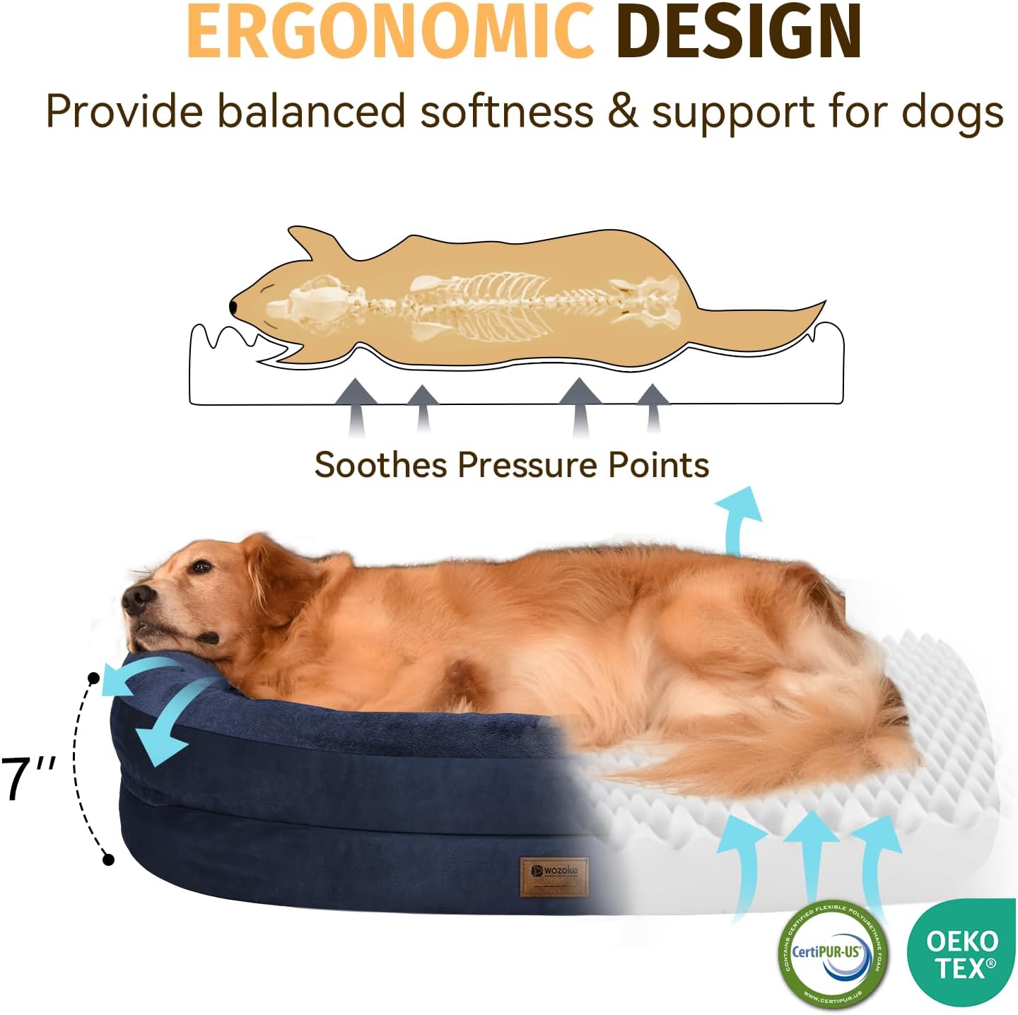 Orthopedic Waterproof Large Dog Bed: Memory Foam Washable Dog Bed with Bolsters - Removable Orthopedic Cover for Medium L XL Large Sized Pet - Non-Slip Bottom - Navy