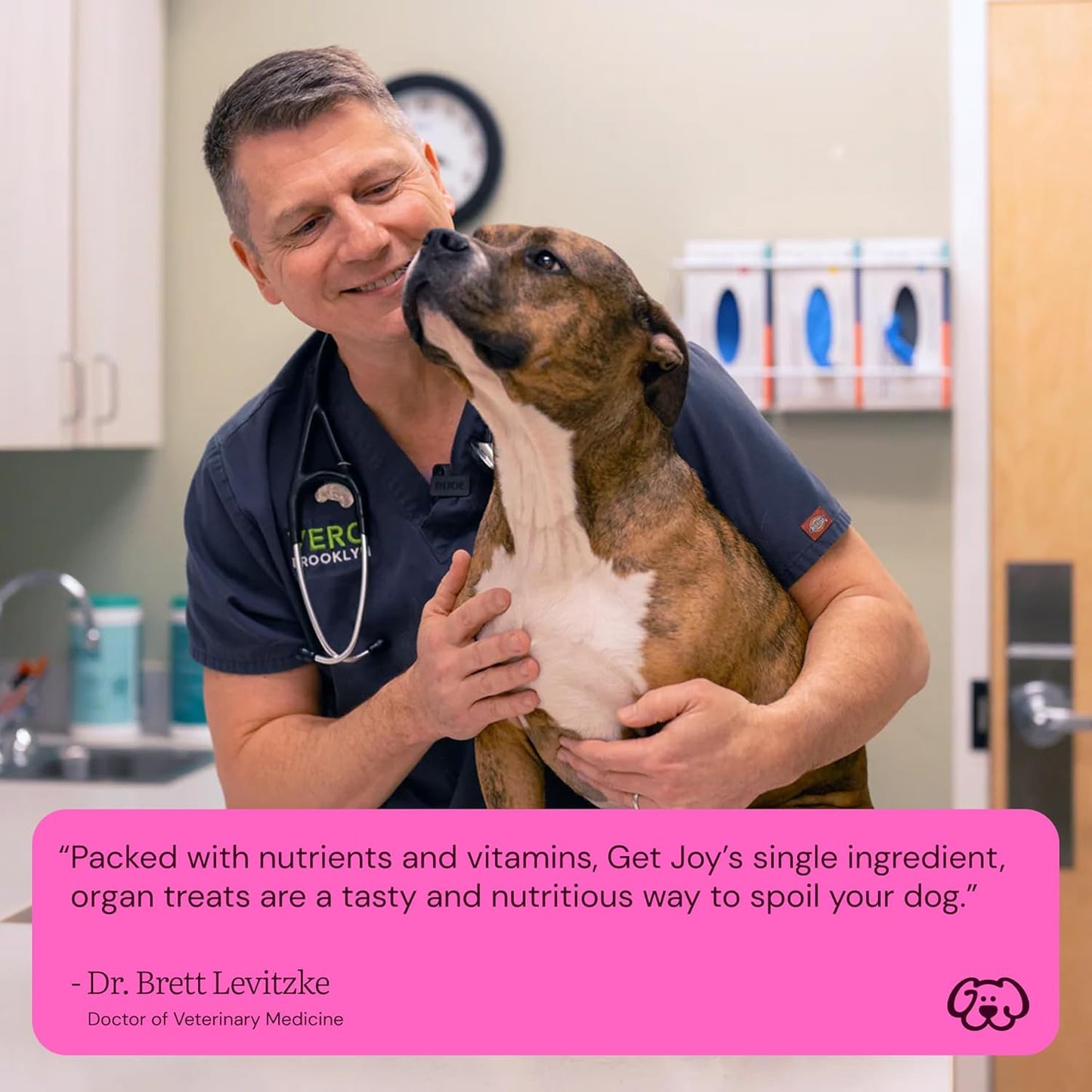 Get Joy Freeze Dried Superfood 100% Beef Liver Dog Treats, 4 Ounce Bag (Pack of 3), Single Ingredient Organ Meat, High Protein, Vision, Skin & Coat Health, Grain Free, Gluten Free, Made in USA