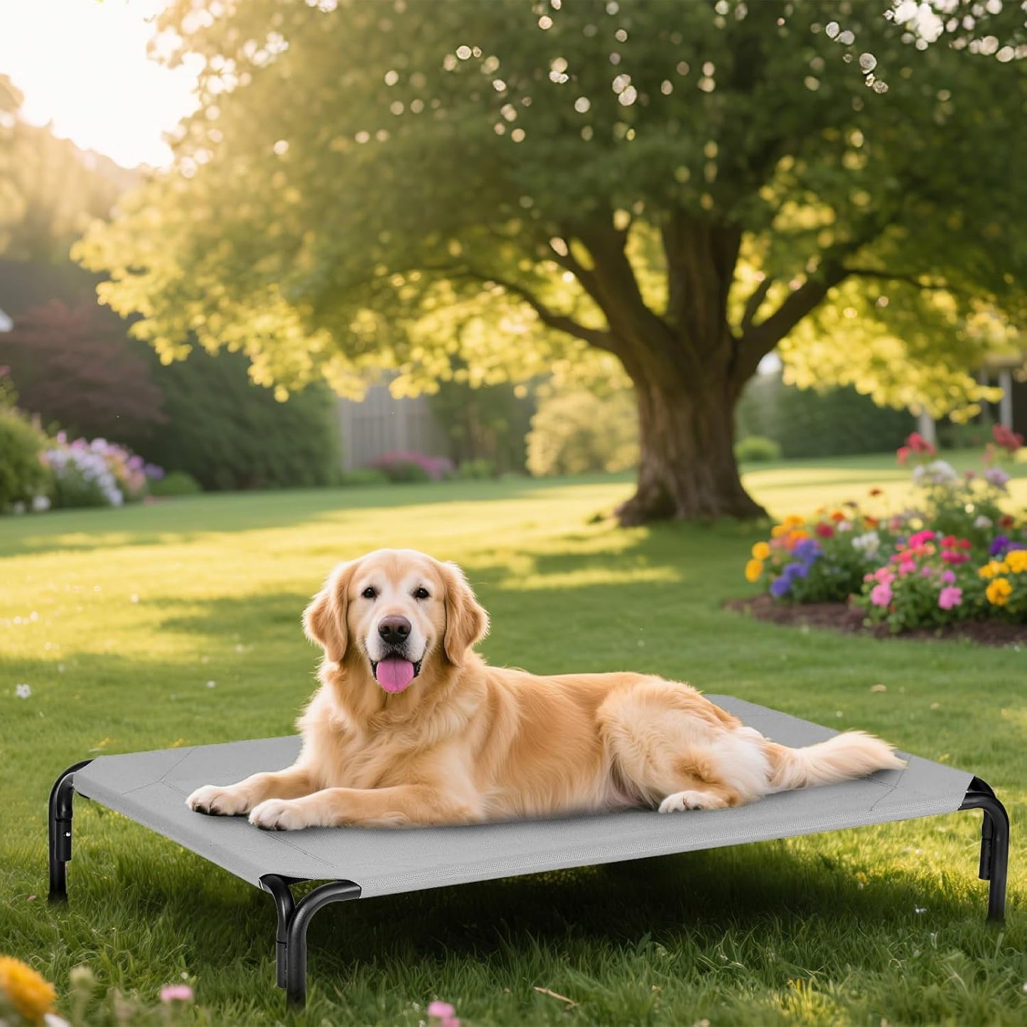 Elevated Dog Bed for Outdoor, Large Raised Dogs Cot for Training, Cooling Pet Beds with Washable Mesh, Indestructible Lifted Platform for Outside Camping, 41 inch Grey