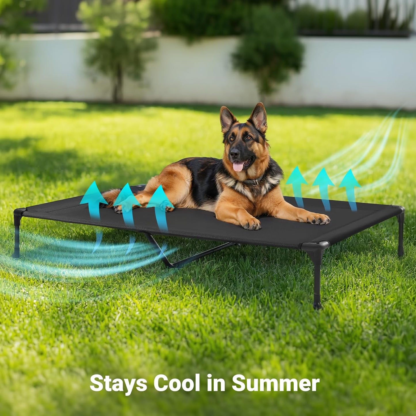 Veehoo Cooling Elevated Dog Bed, Portable Raised Pet Cot with Washable & Breathable Mesh, No-Slip Feet Durable Dog Cots Bed for Indoor & Outdoor Use, X Large, CWC1803-XL