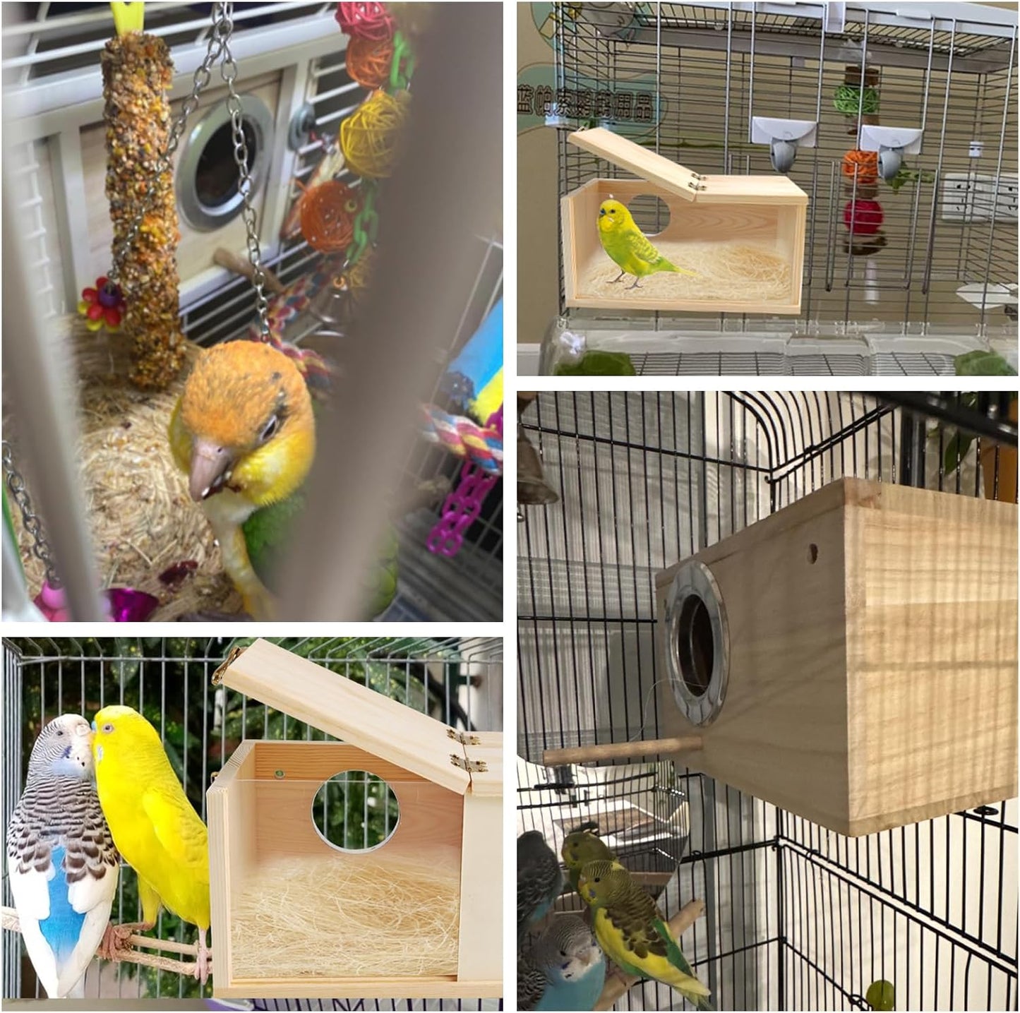 PINVNBY Wooden Bird Nesting Box with Transparent Visual Window,Parakeet Nest Breeding Box with Detachable Board Acrylic Cockatiel House for Budgie Lovebird Conure Parrot (L)