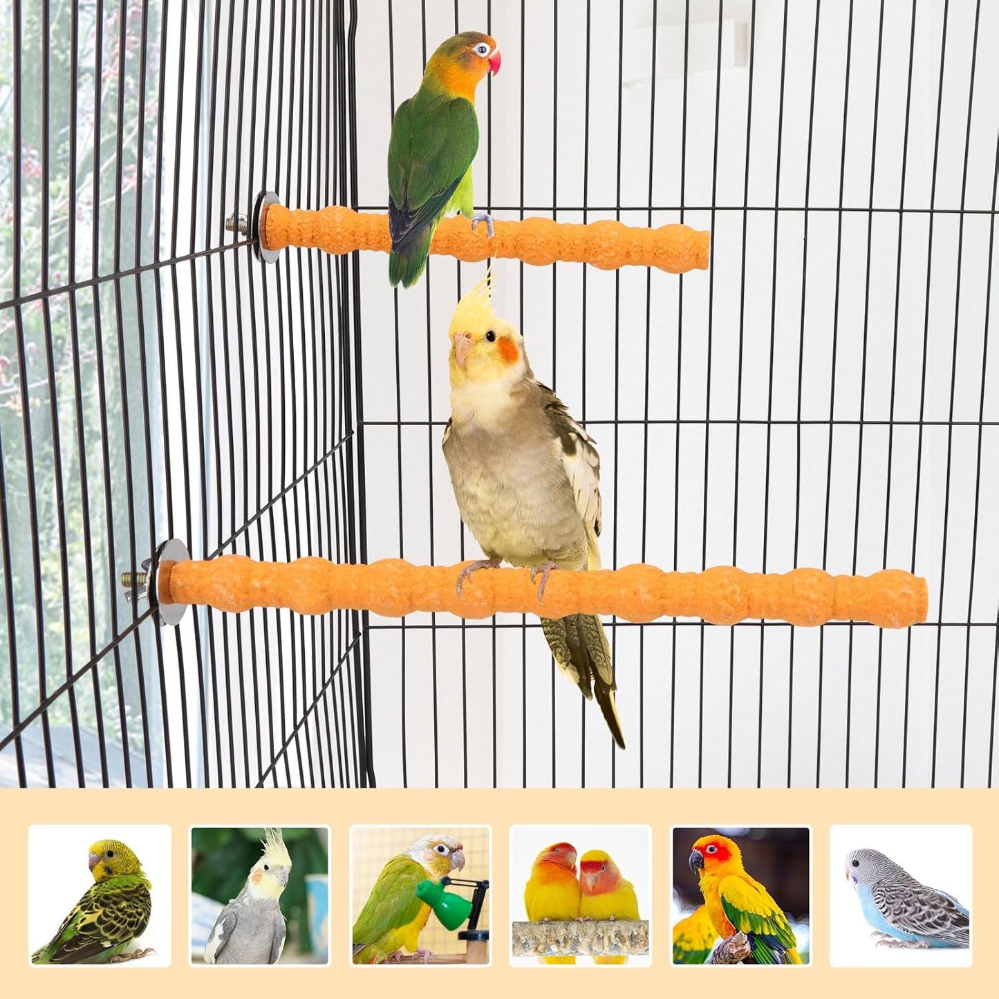 Hypeety 2PCS Wood Perch Stand Paw Grinding Stick Toy Pet Bird Cage Stand Platform for Bird Parrot Budgies Parakeet Cockatiels Cage Accessories (7in/10in) (Orange)