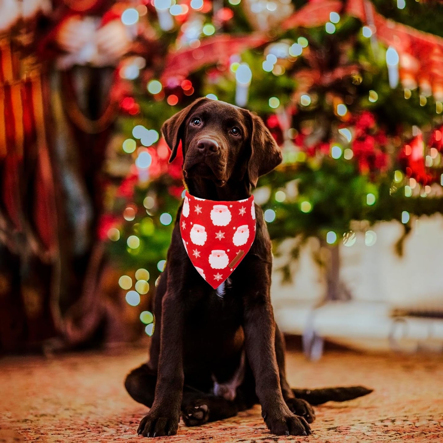 ADOGGYGO Christmas Dog Bandanas 2 Pack, Santa Deer Pattern Pet Xmas Scarf Bib, Premium Durable Fabric, Pet Christmas Bandanas for Medium Large Dogs (Large)