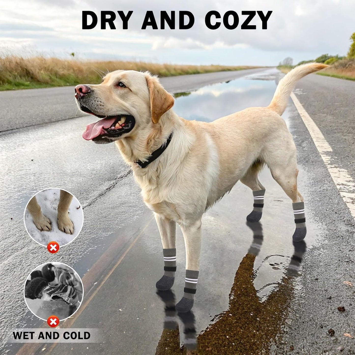 SCENEREAL Anti Slip Dog Boots & Paw Protectors for Hardwood Floor, Extended Dog Socks to Prevent Licking Paws, Waterproof Pet Snow Rain Shoe for Winter Medium Senior Dogs, Grey M