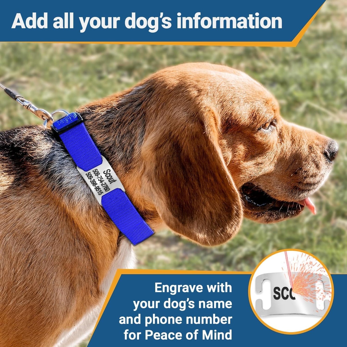 GoTags Reflective Personalized Dog Collar with Nameplate, Adjustable Dog Collar with Custom Engraved Steel Slide On Pet ID Tag, Silent, No Noise Dog Tag for Large Medium or Small (Light Gray, Medium)