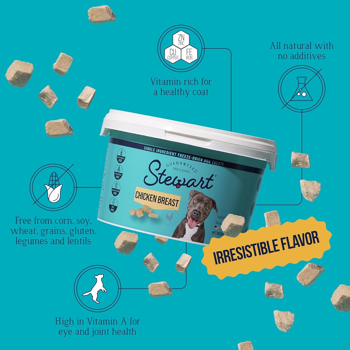 Stewart Single Ingredient Freeze Dried Raw Dog Treats, Chicken Breast, 3 Ounce, Approx. 55 Pieces per Resealable Tub, Training Treats or Meal Topper, High Protein, Grain Free, Gluten Free