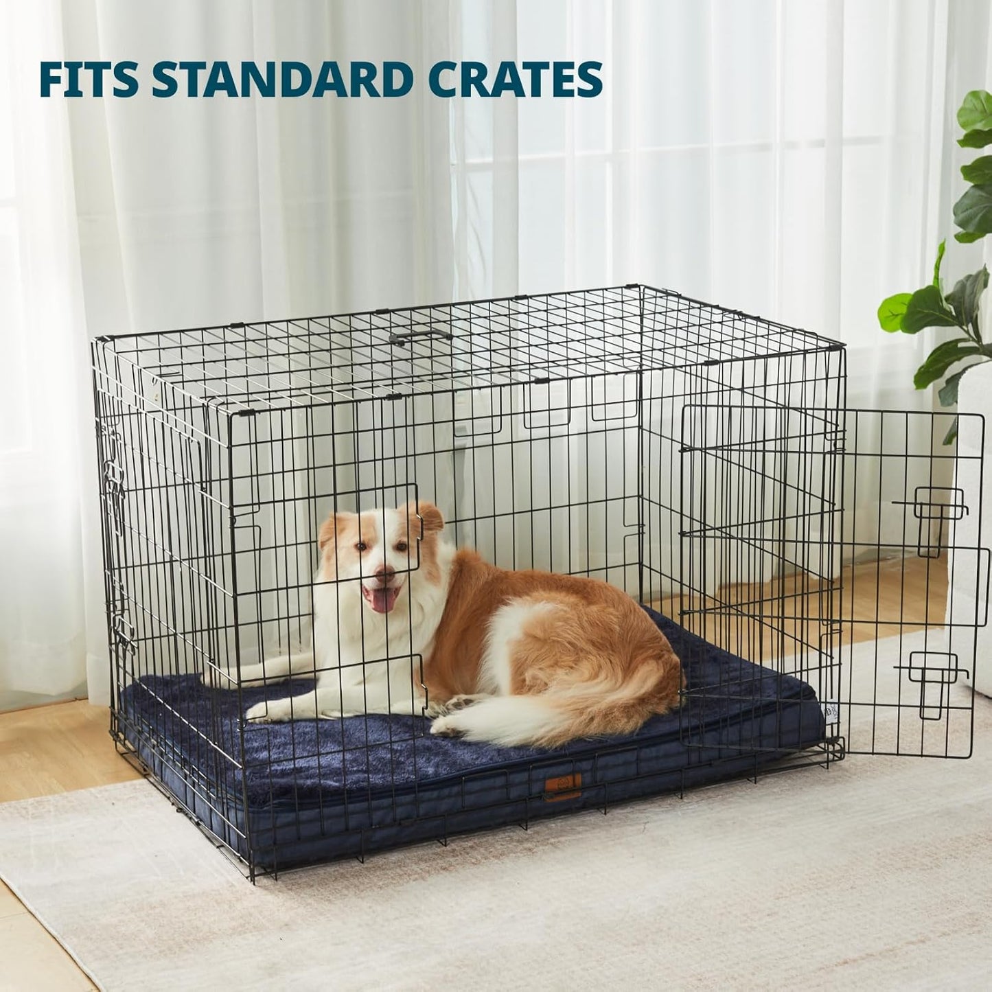 Memory Foam XL Dog Bed - 4” Thick Orthopedic Beds for Extra Large Dogs - Waterproof Dog Bed with Removable Washable Cover & Wrap-Around Zipper - Ultimate Comfort and Easy Maintenance