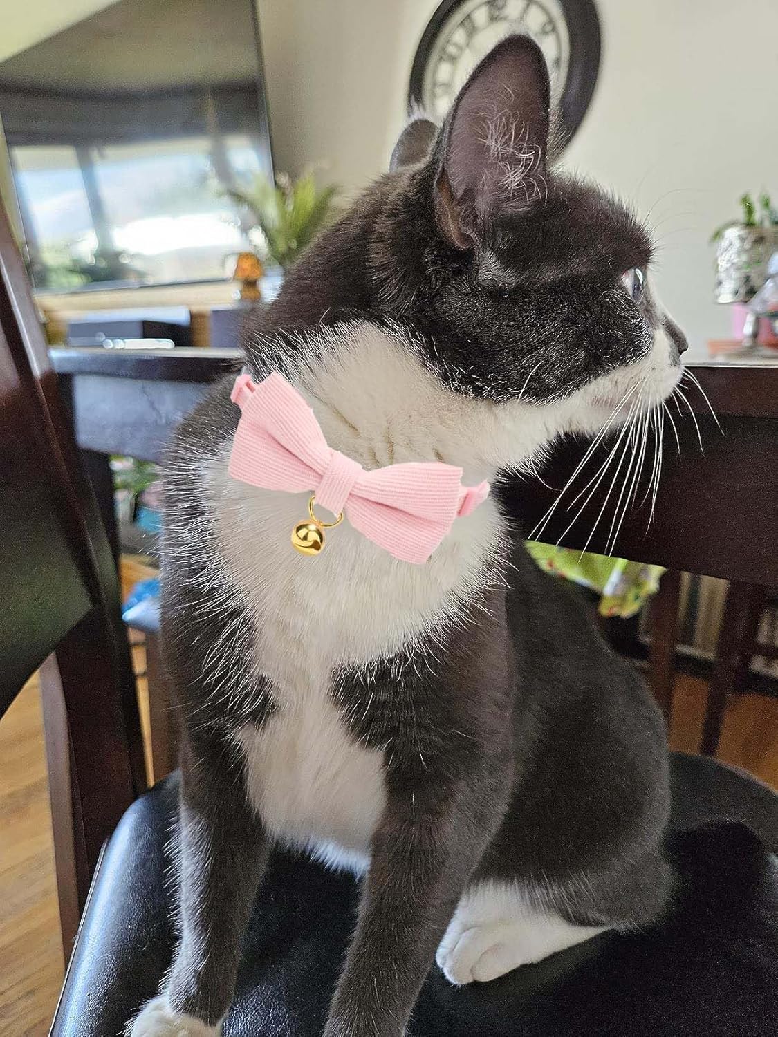 2 Pack Soft Corduroy Cat Collars with Bow Tie & Bell, Adjustable Breakaway Cotton Kitty Bowtie Collar for Girl Female Kitten (Pink & Purple)