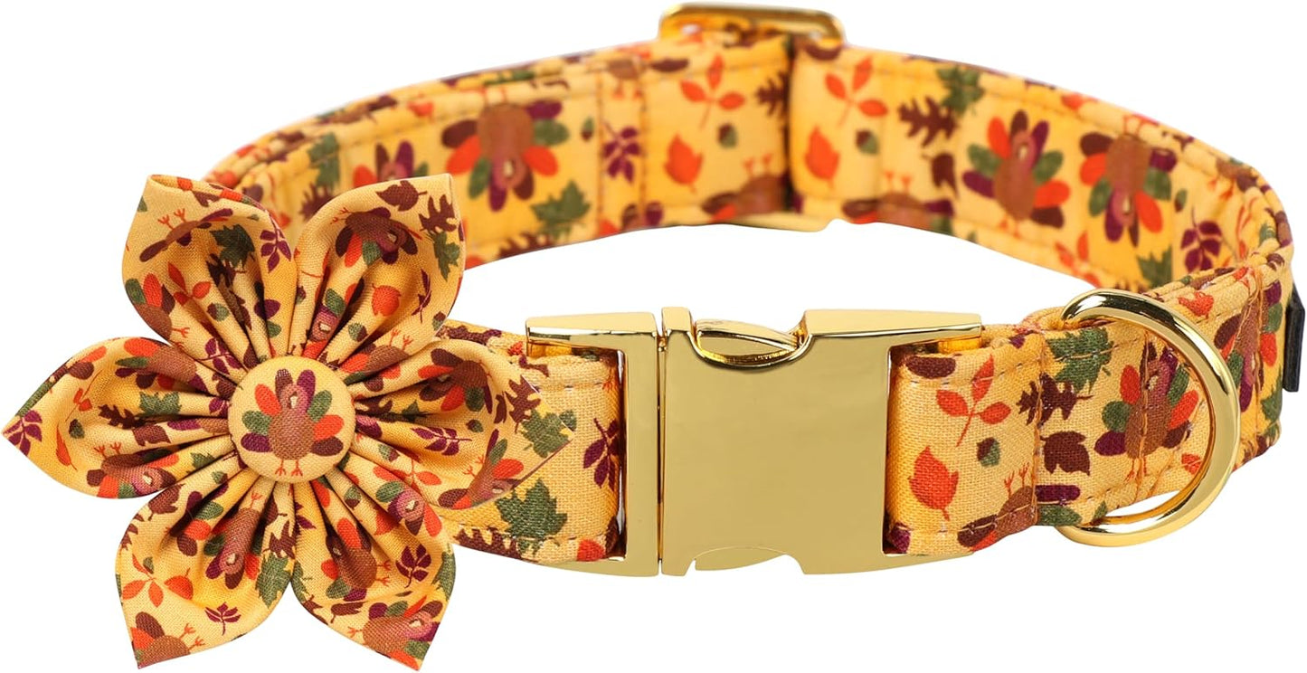 Lionet Paws Thanksgiving Day Dog Collar with Flower, Dogs Flower Collar with Metal Buckle for Dogs, Adjustable Comfortable Dog Collars Girl, M, Neck 13.5-22 in